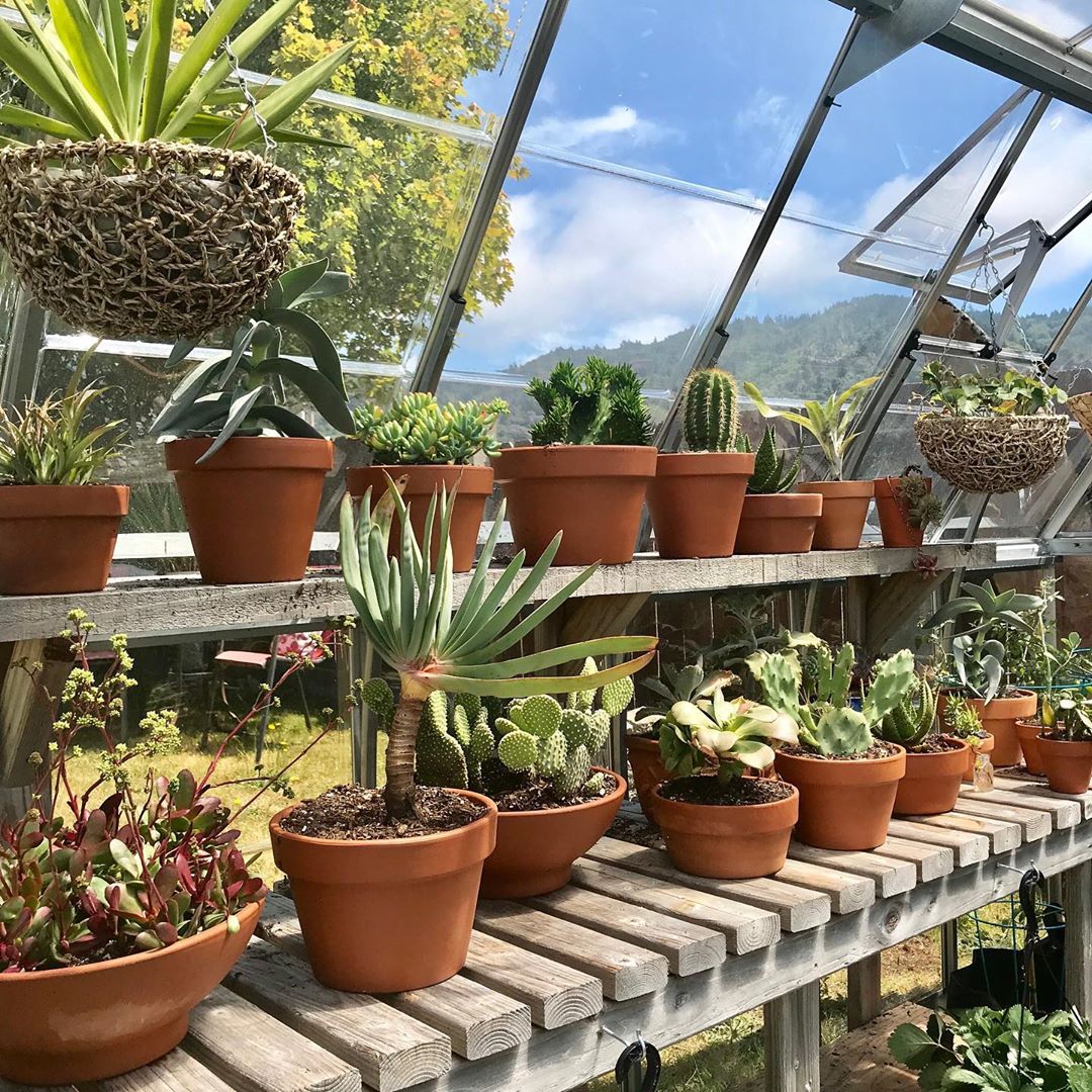 Canopia by Palram 702284 greenhouses - View #9