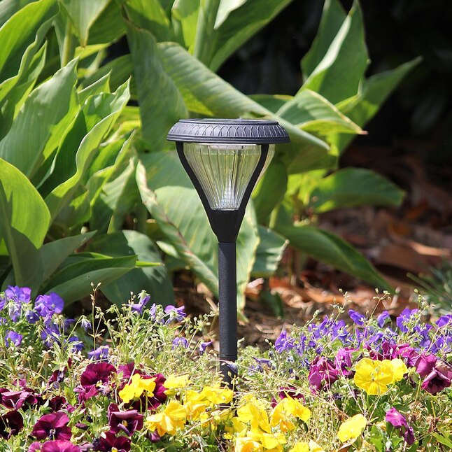 Gama Sonic 2-Pack Premier 36x Brighter (43.2-Lumen) 1-Watt Black Solar LED Path Light Gama Sonic 2-Pack Premier 36x Brighter (43.2-Lumen) 1-Watt Black Solar LED Path Light