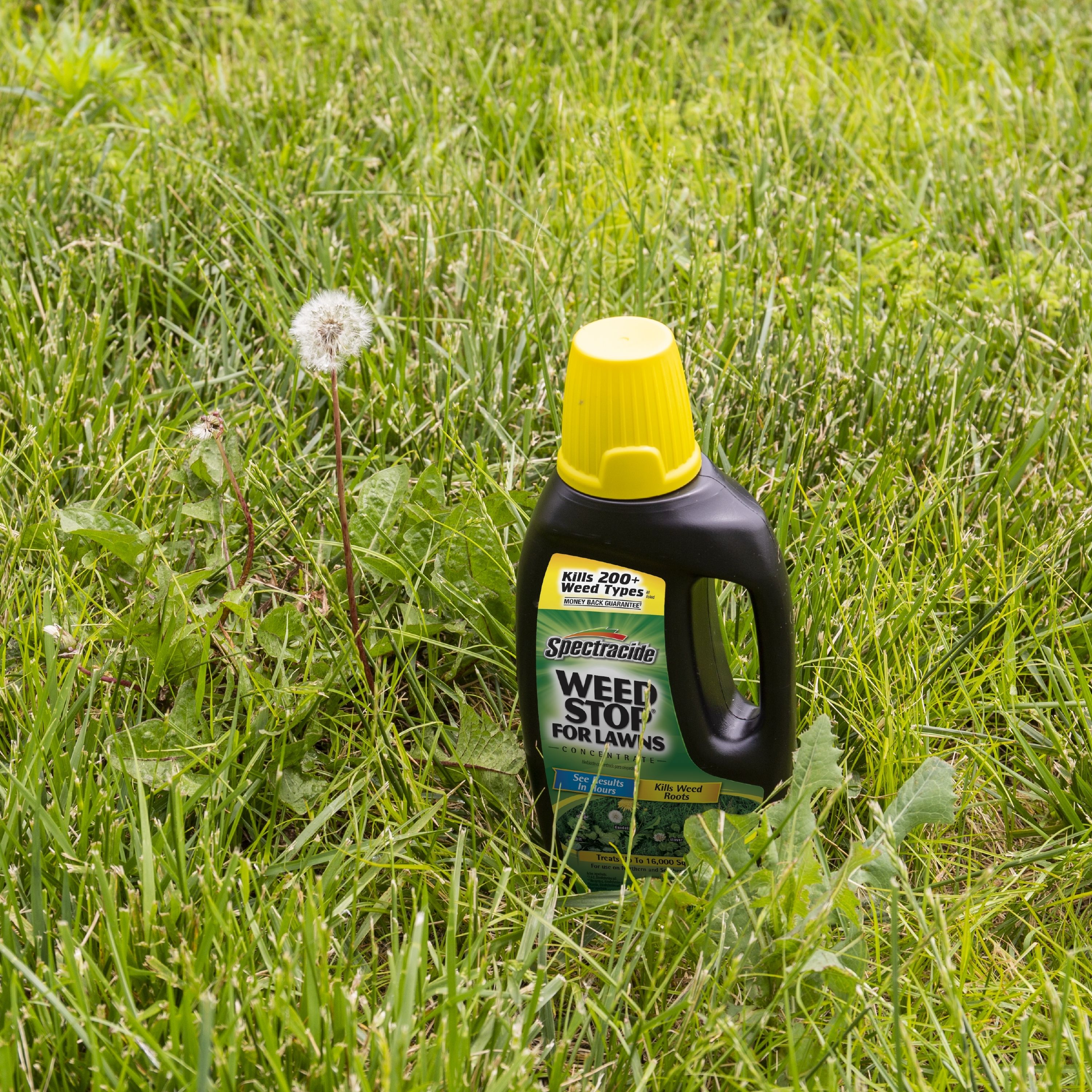 Spectracide HG-96392 Weed-Killers - View #4