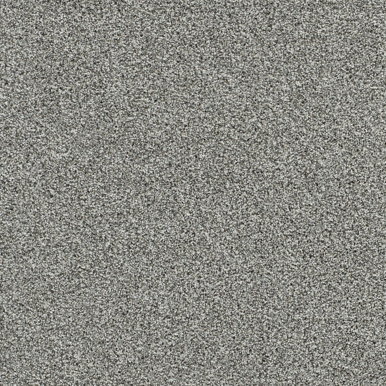 STAINMASTER PetProtect L3010-1004-1200-AB Fur Real I Petra Gray 45-oz sq yard Solution-dyed polyester Textured Indoor Carpet