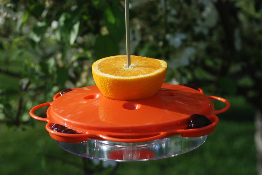 Woodlink 25018 Bird-Feeders - View #2