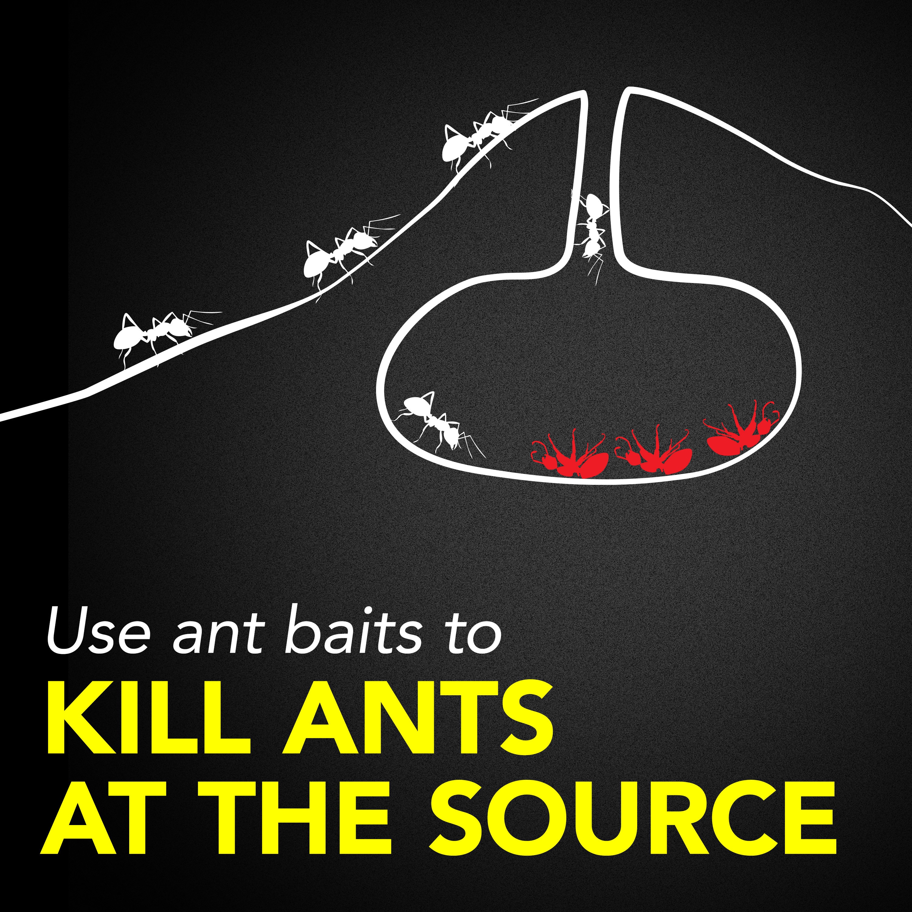 Raid 697329 repellents - View #4