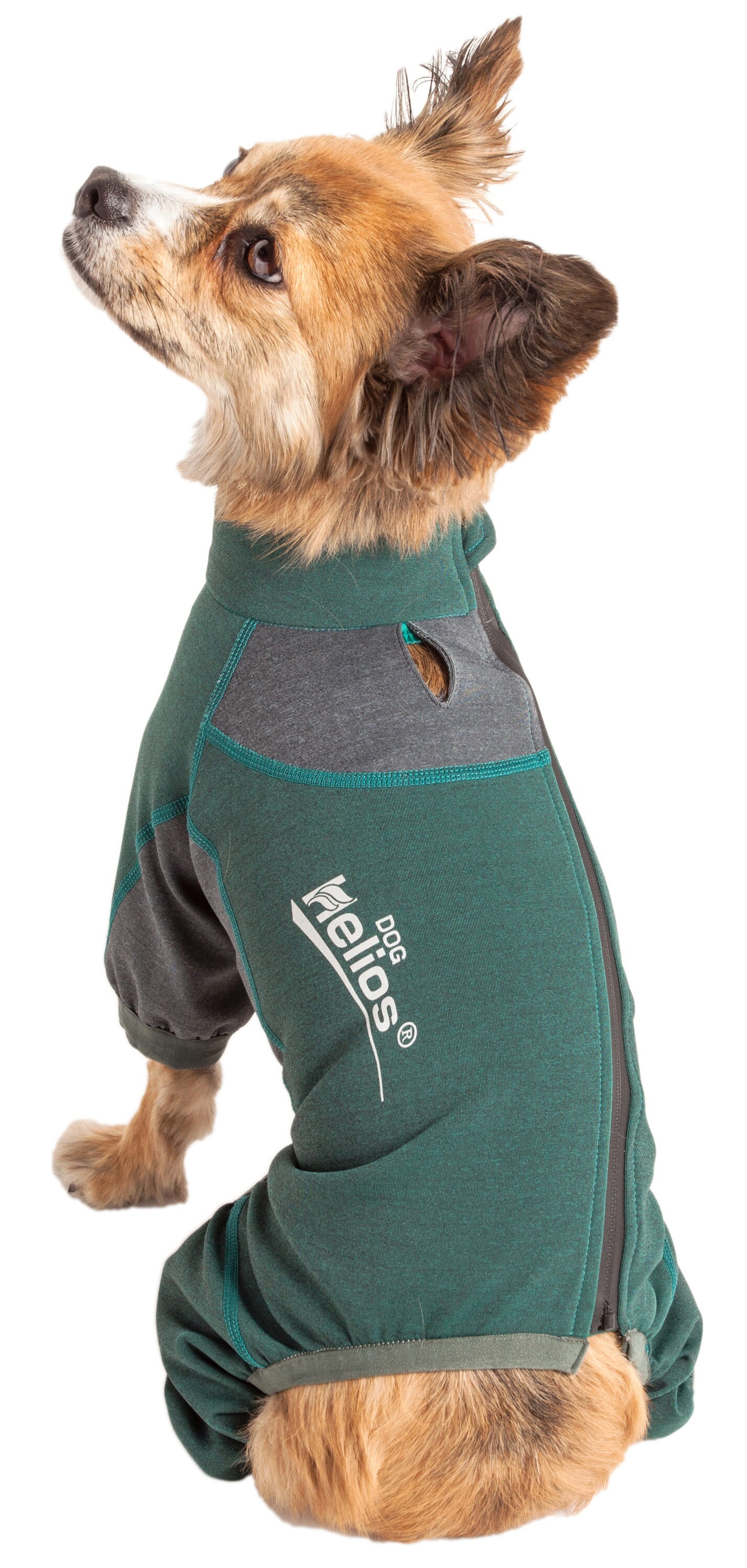 Free Country Multi-Color Polyester Pet Jacket - Medium Size -  Indoor/Outdoor - Comfortable, Warm, Lightweight - Lowe's Exclusive in the Pet  Clothing department at