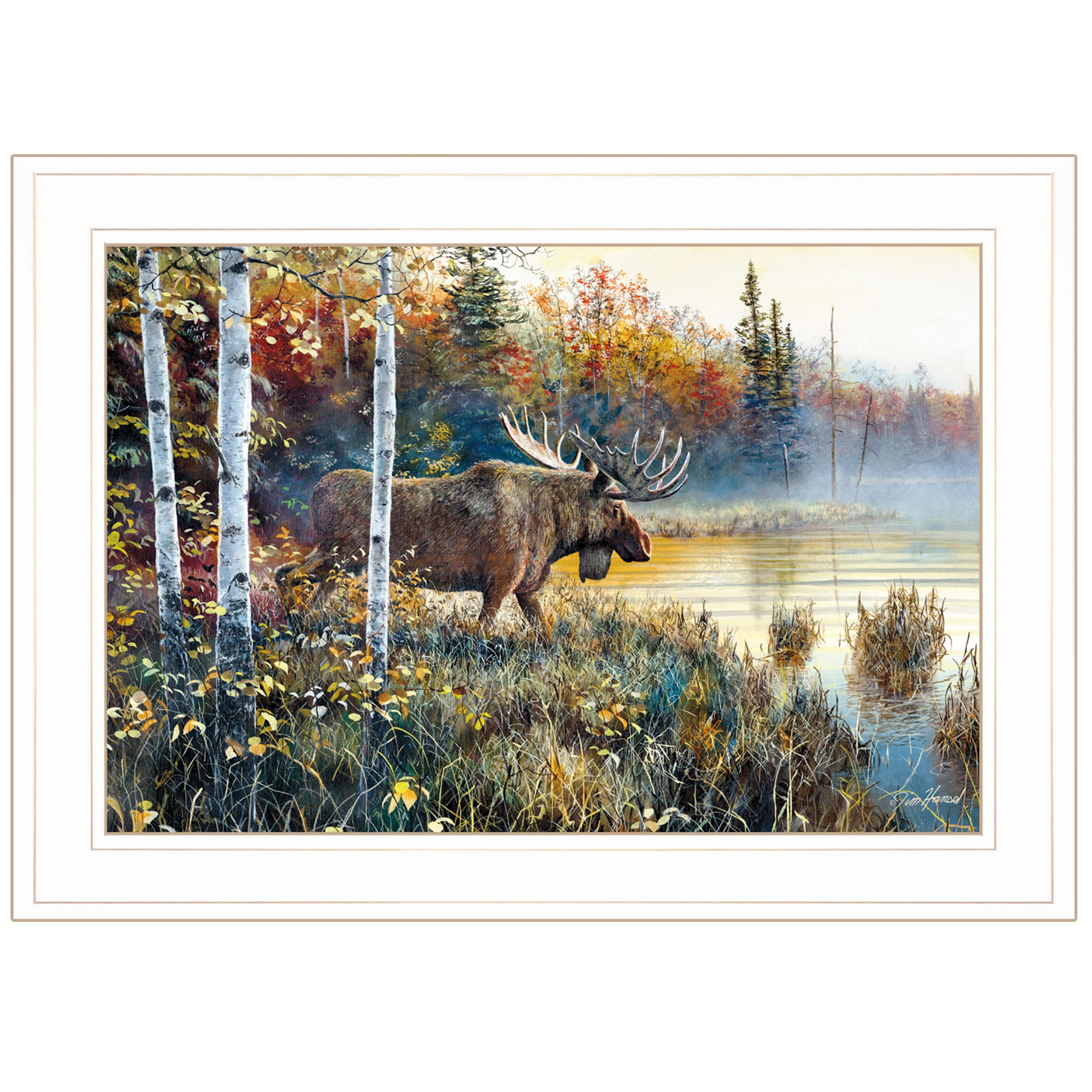 Trendy Decor 4U JH157-226G Master Of His Domain Collection Jim Hansen White Wood Framed 15-in H x 21-in W Animals Paper Print