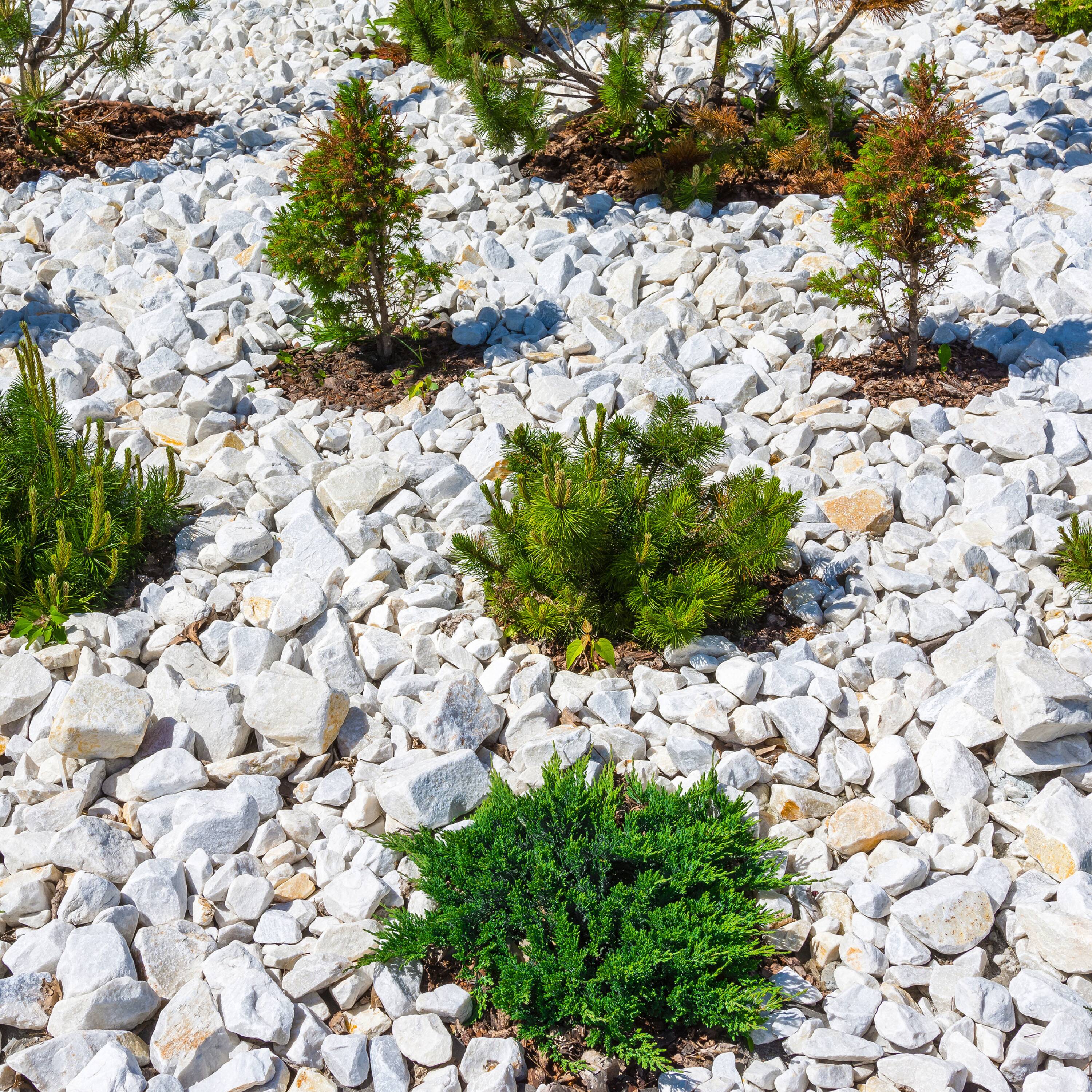  2808061 Landscaping-Rock - View #6
