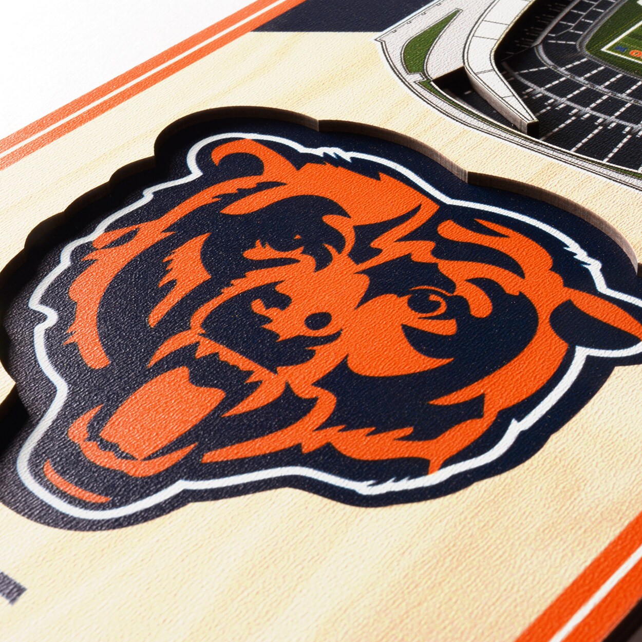 : YouTheFan: Chicago Bears