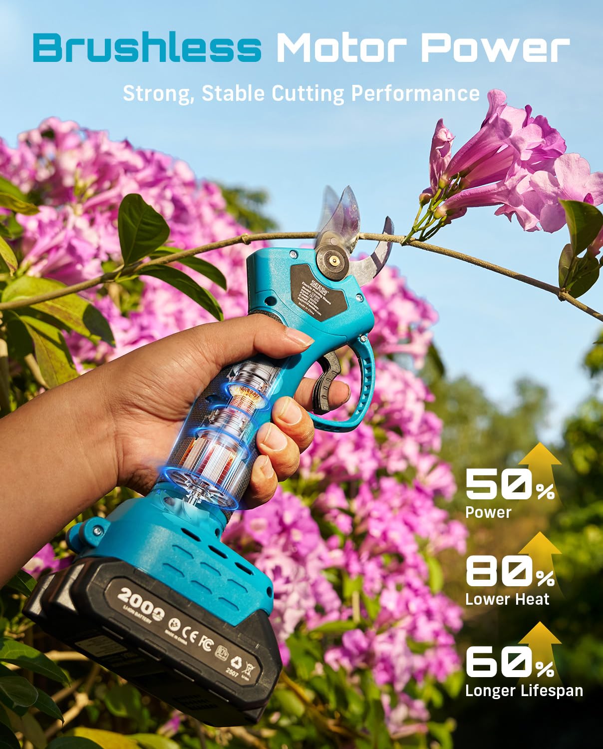 SeeSii CS300 Pole-Pruning - View #5