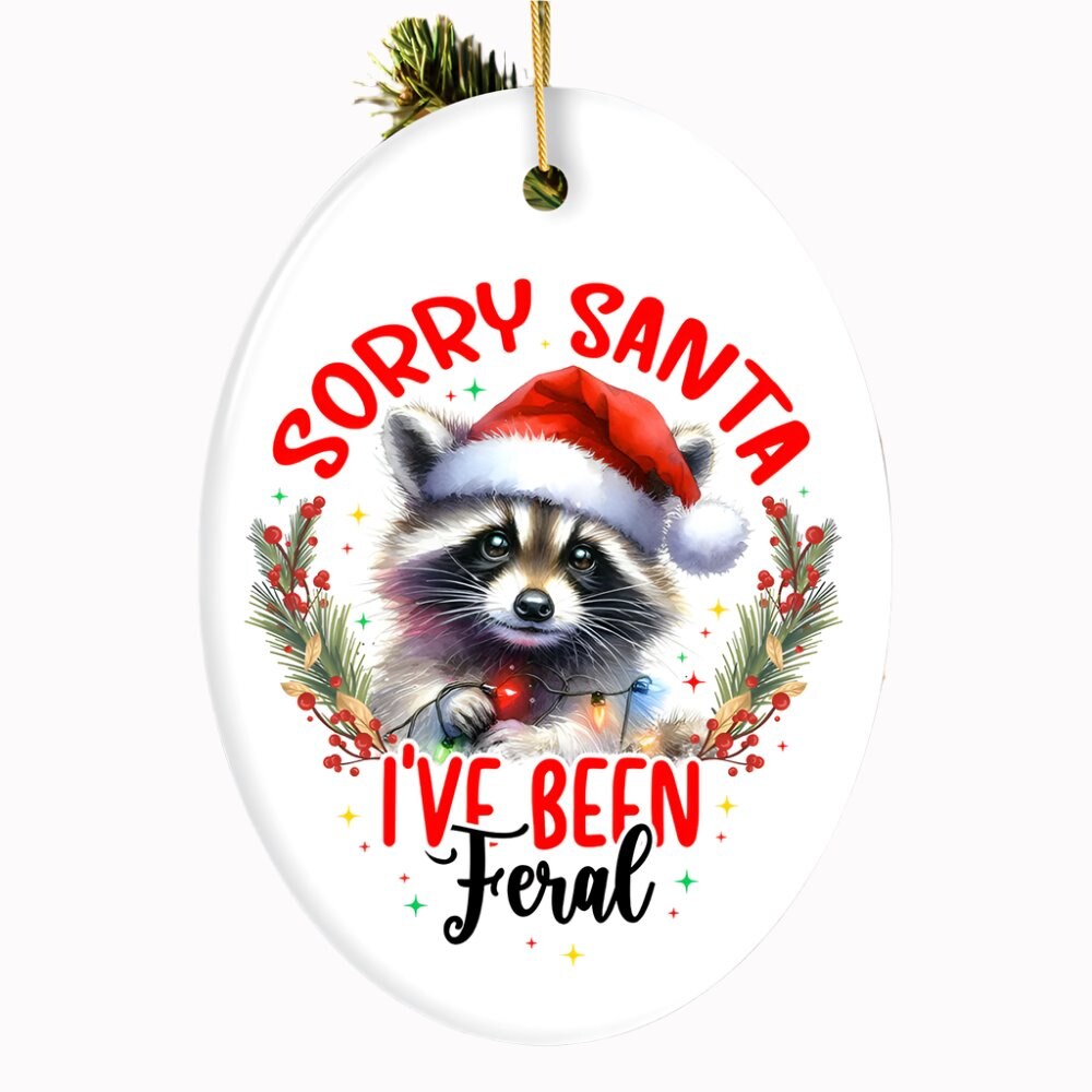 OrnamentallyYou 2283 Sorry Santa Ive Been Feral Ornament Funny Raccoon Christmas Gift and Decor