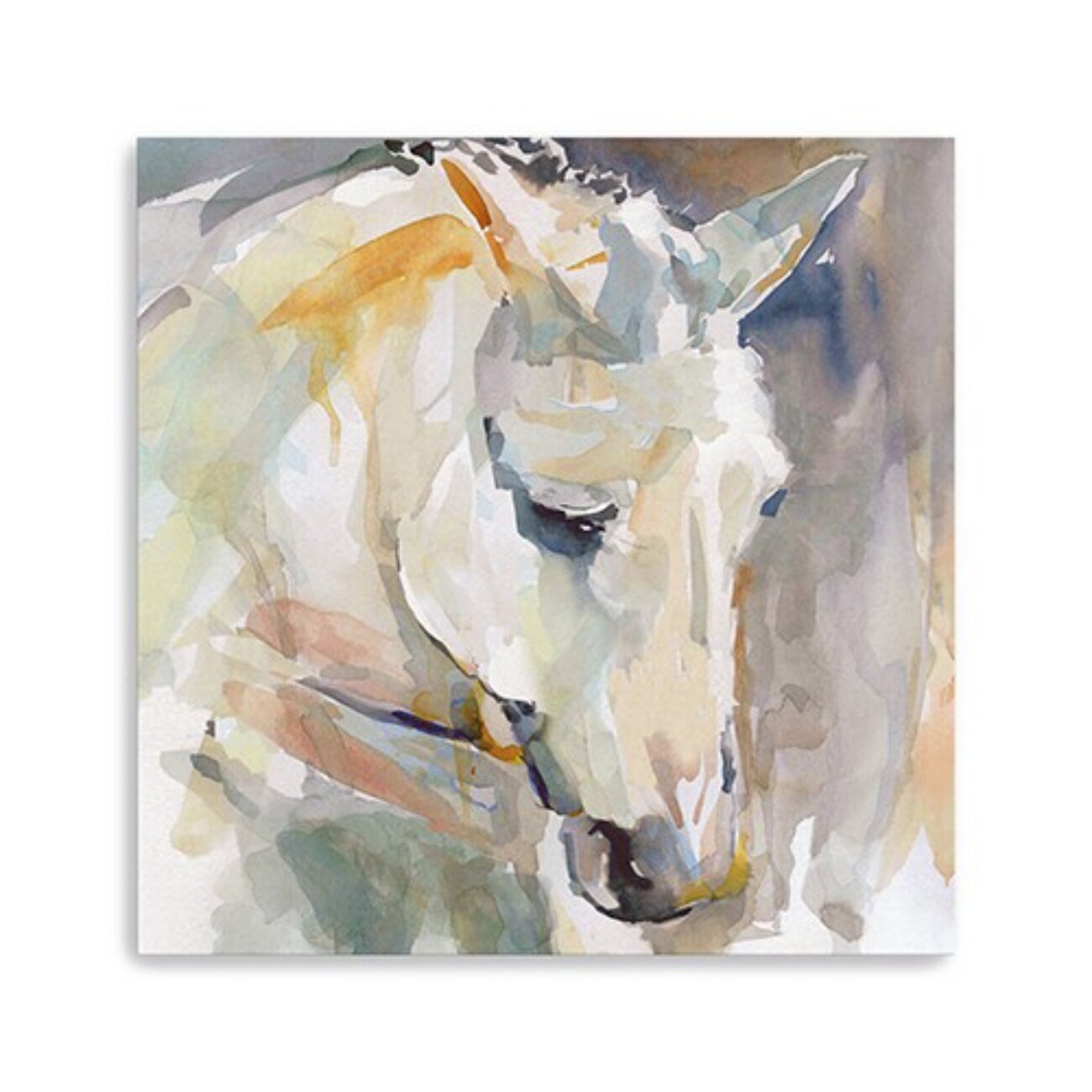 HomeRoots 4000398930 30 inc x 30 inc Abstract Watercolor Horse Canvas Wall Art