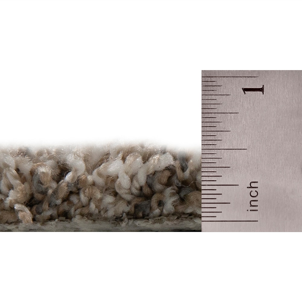 STAINMASTER SS041-L005-S0808 Carpet-Samples - View #5