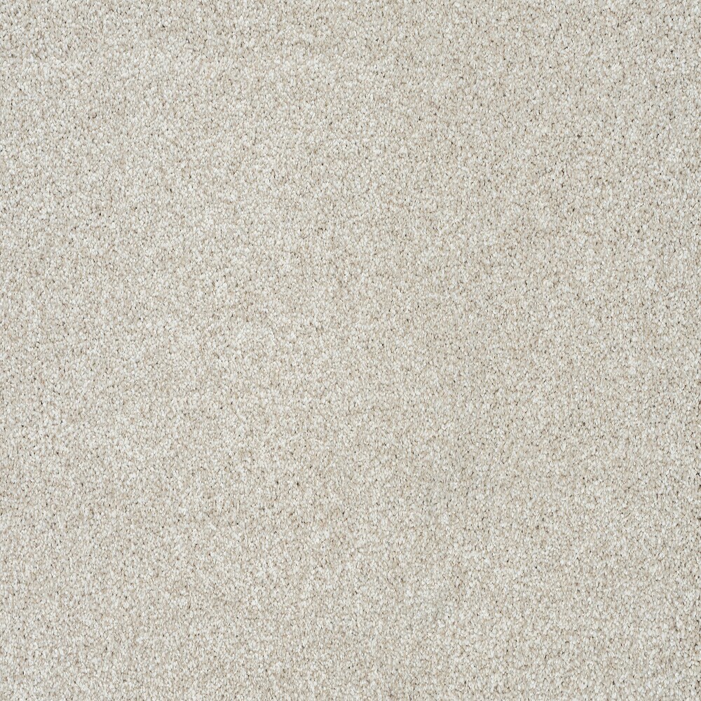 STAINMASTER PetProtect with LeakDefense Long Leash III WINTER Tan 80-oz sq yard Polyester Textured Indoor Carpet