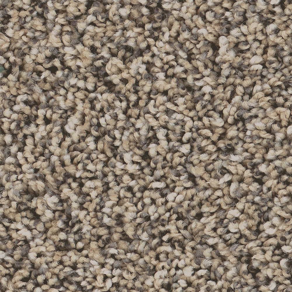 STAINMASTER PetProtect 7L96500700 with LeakDefense Pet Parade I Khaki Brown 43.9-oz sq yard High-performance polyester Textured Indoor Carpet