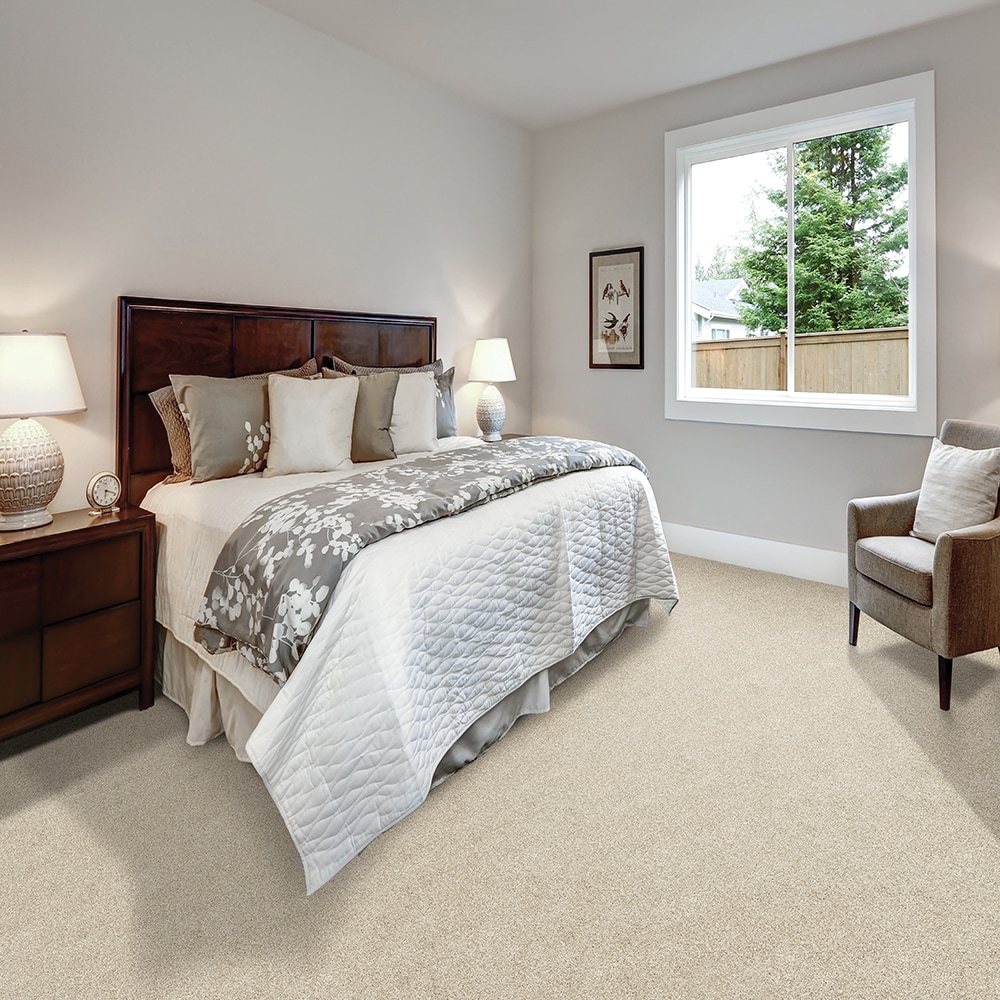 STAINMASTER SS041-L008-S0808 Carpet-Samples - View #2