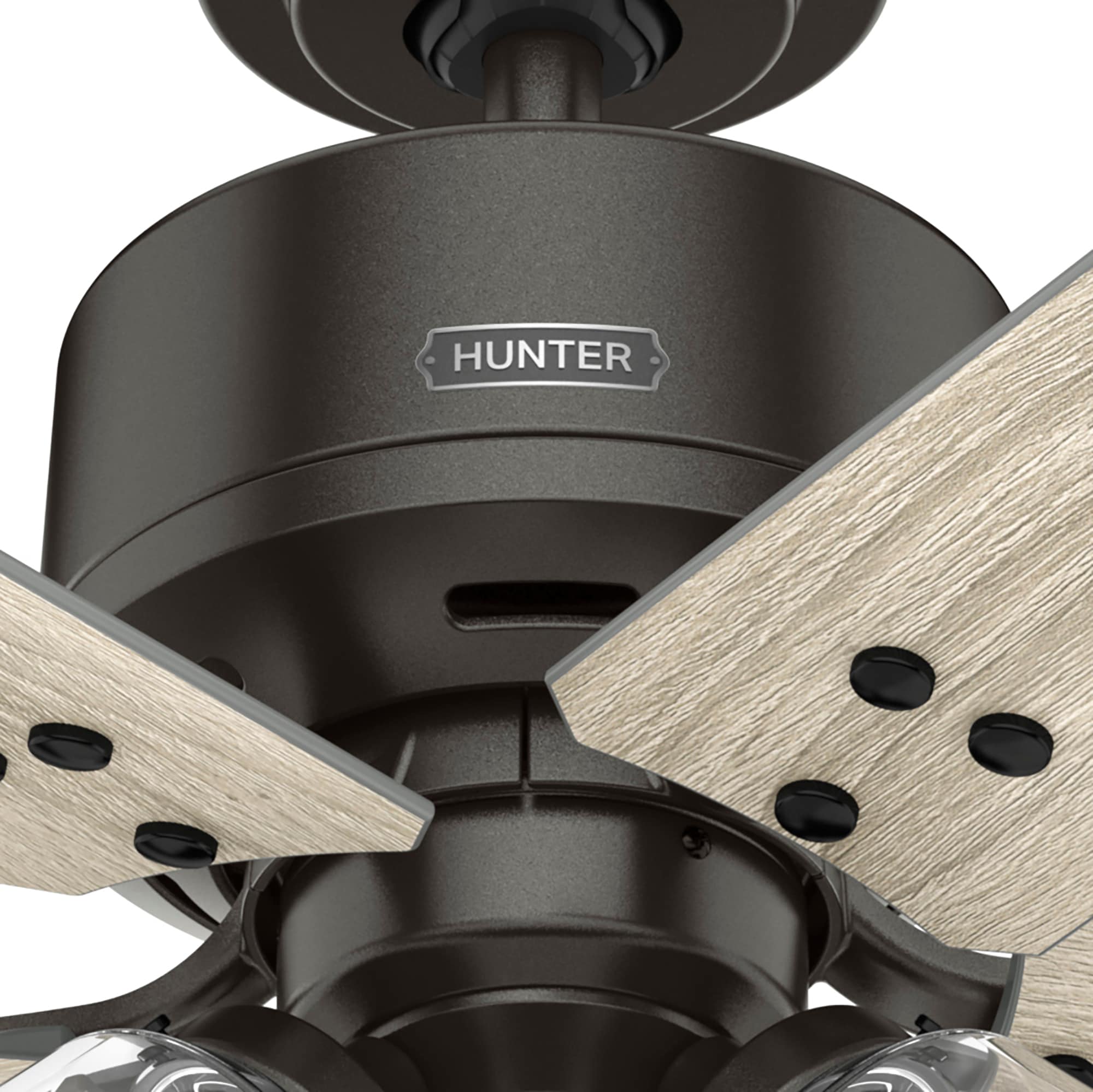 Hunter 51698 Ceiling-Fans - View #13