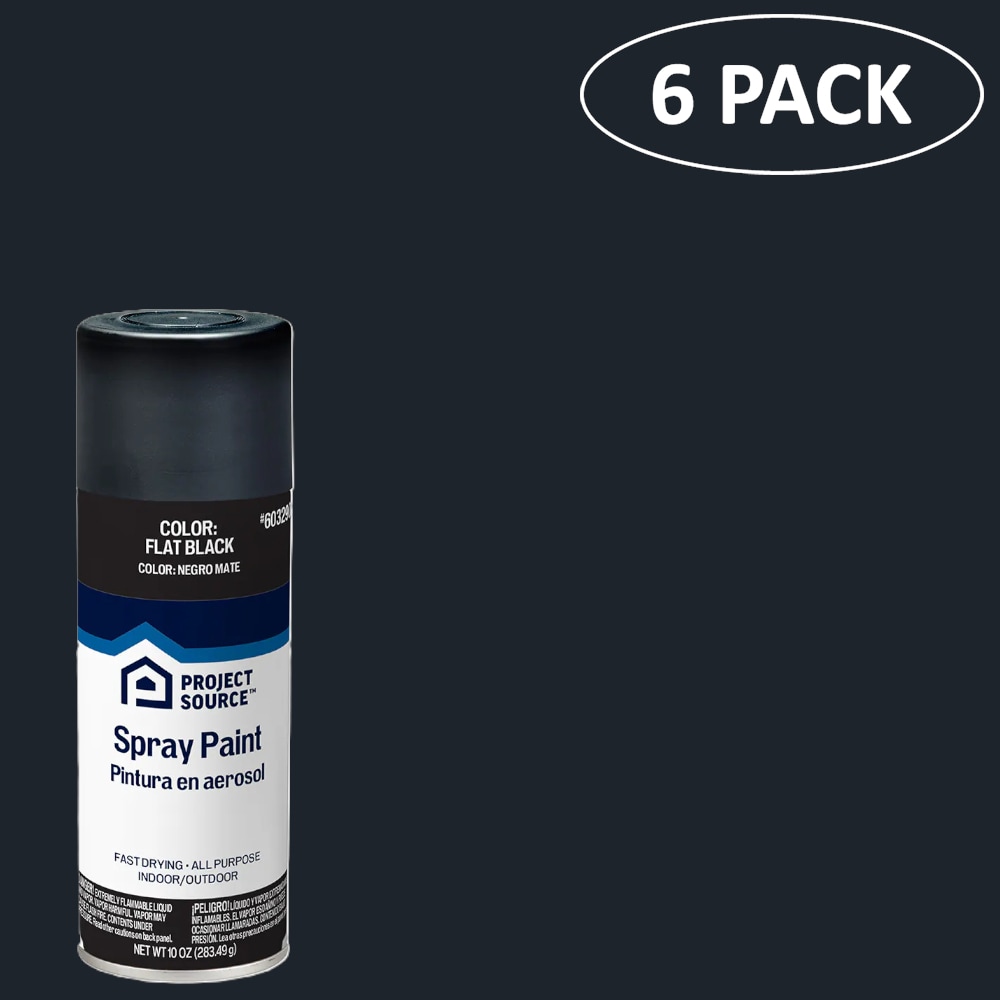 Project Source 399759 6 -Pack Flat Black Spray paint ( NET WT. 10-oz )