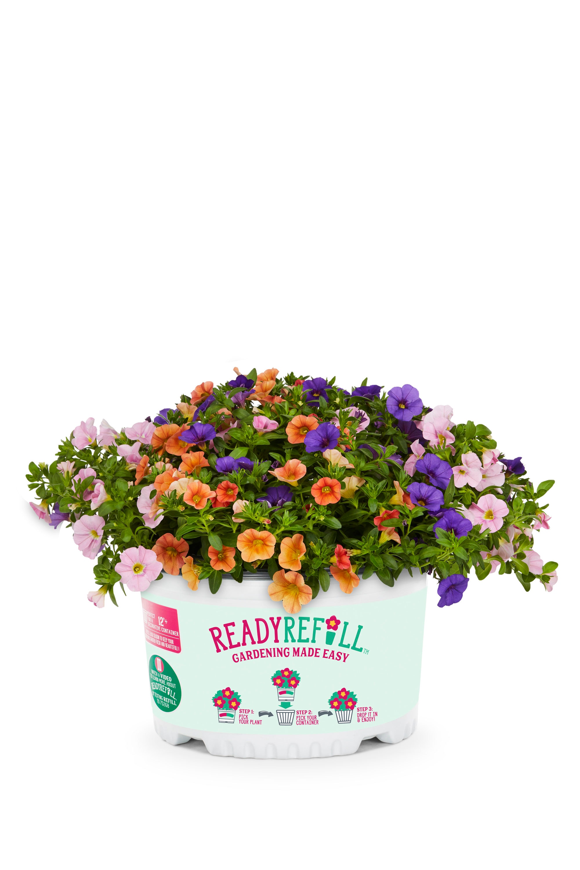 Ready Refill NURSERY Multicolor Tropicali in 1.5-Gallon Pot