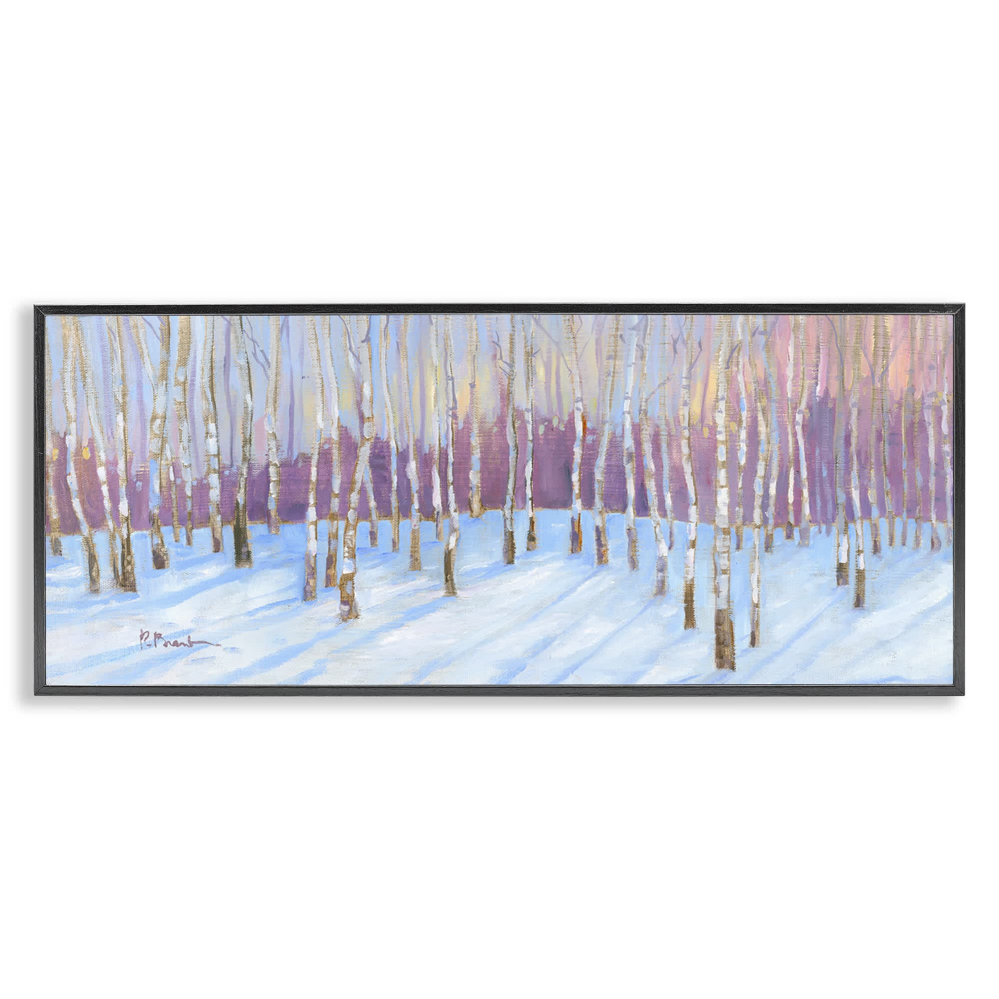 Stupell Industries BT-864-FR-13X30 Niveous Birch Tree Grove Black Framed Giclee Art By Paul Brent 30 x 13