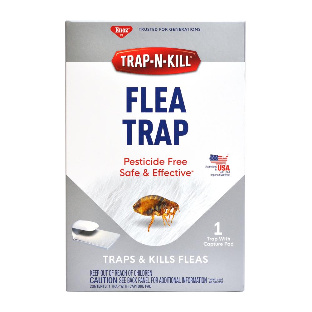 TERRO Refillable Flea Indoor Insect Trap (3-Pack) in the Insect Traps  department at