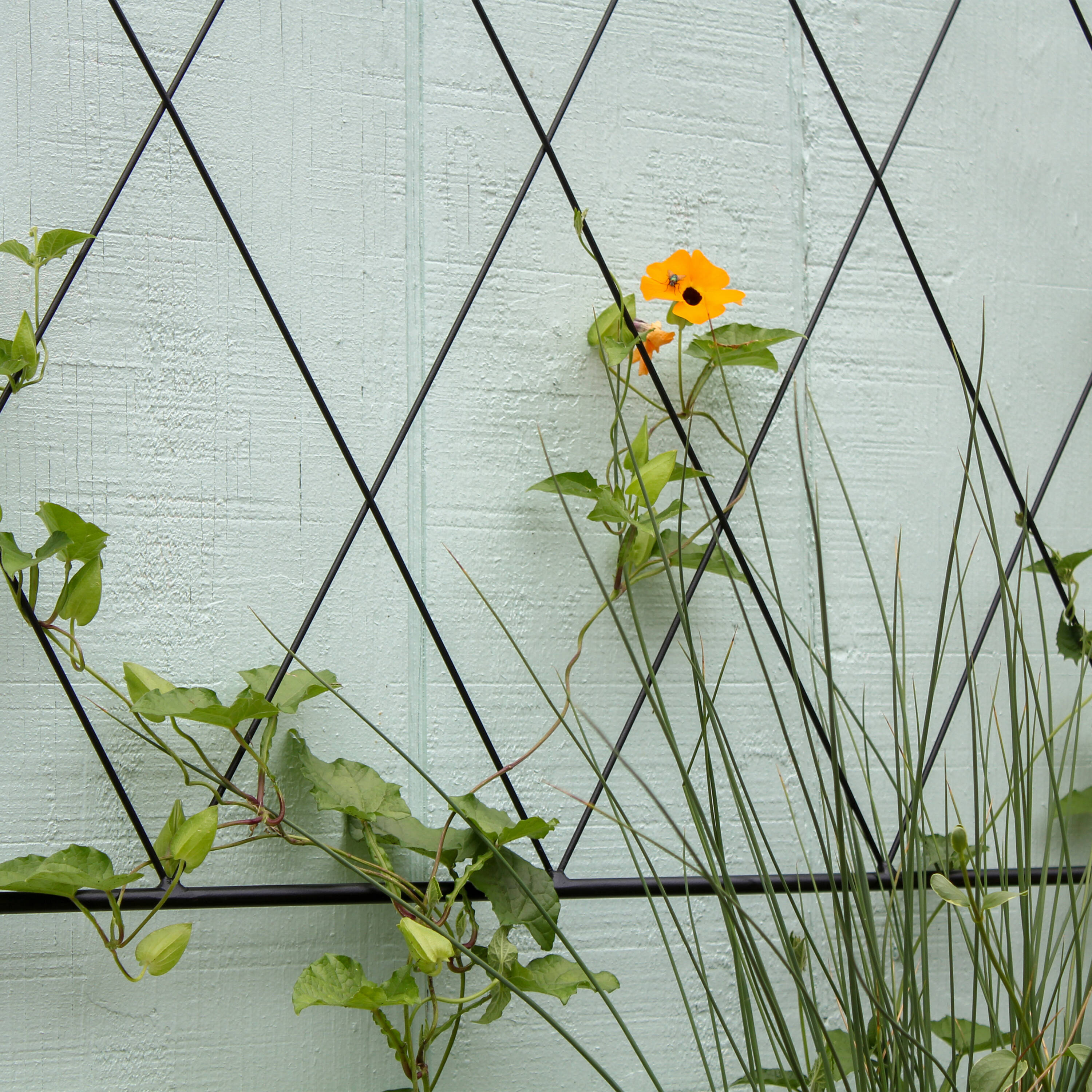 Minuteman International FT-54E Garden-Trellis - View #5