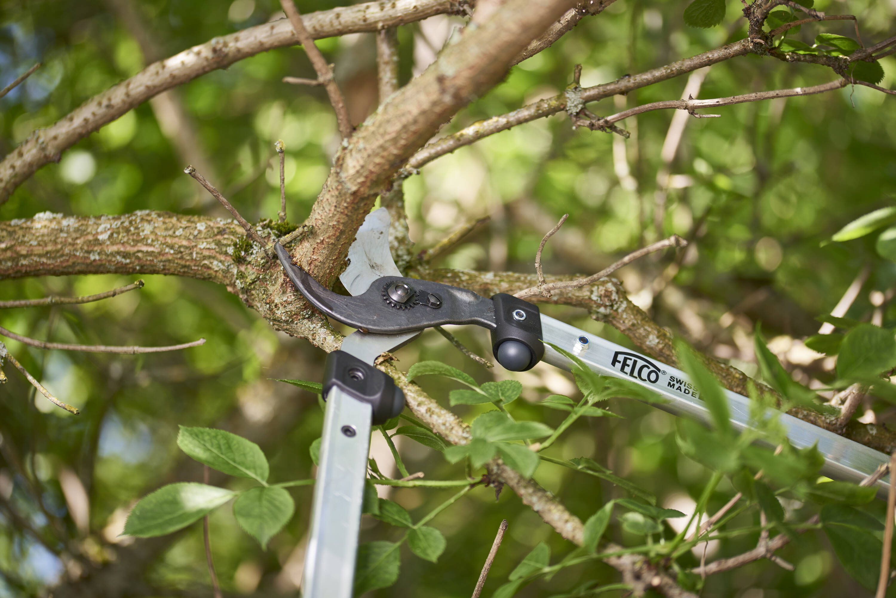 Felco F211-60 loppers - View #8