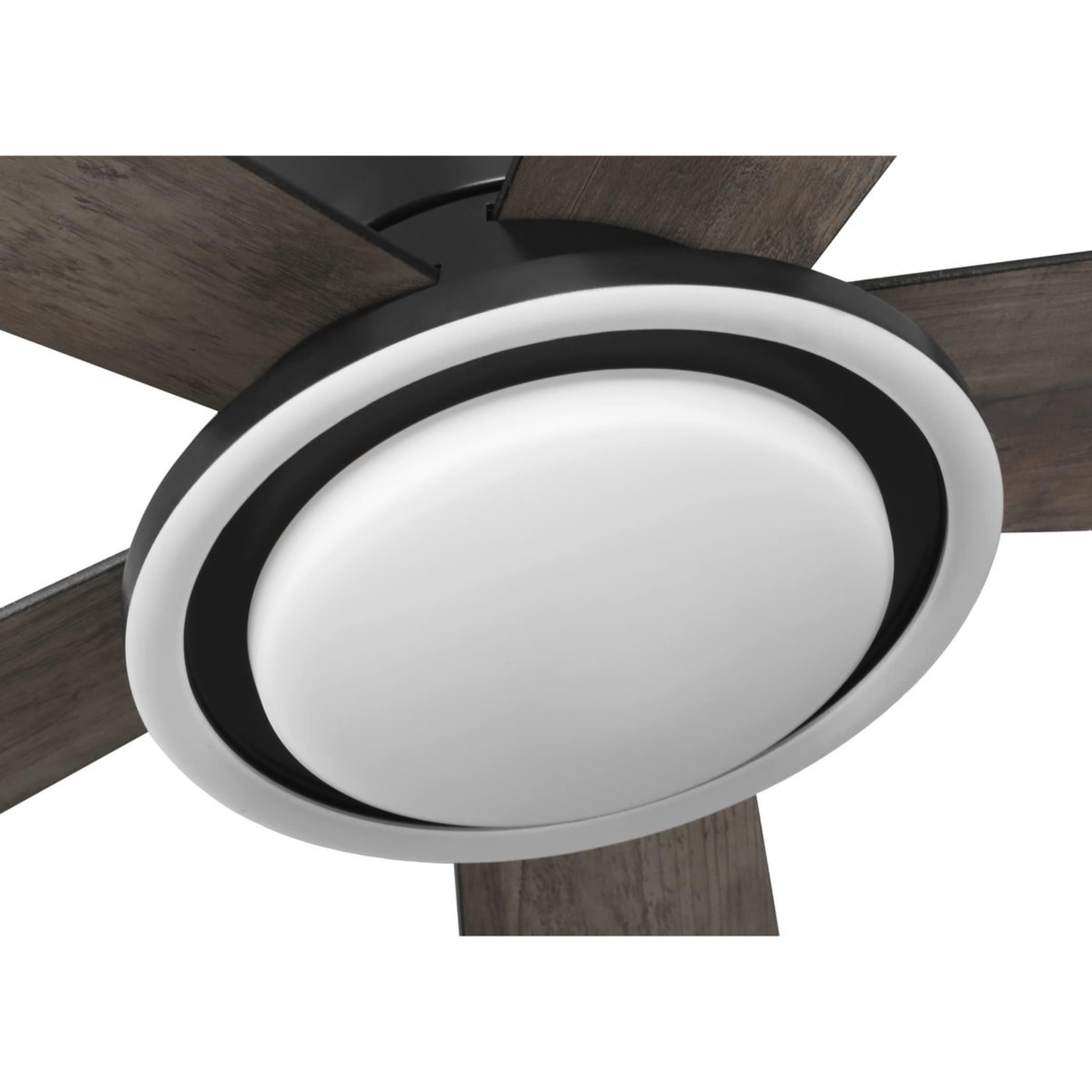Progress Lighting P250102-31M-CS Ceiling-Fans - View #8