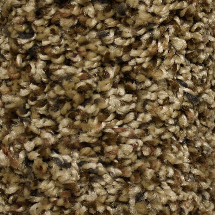 STAINMASTER S437600PURLEY O-OAKS (Sample) Essentials Cadiz Purley Oaks Textured Carpet