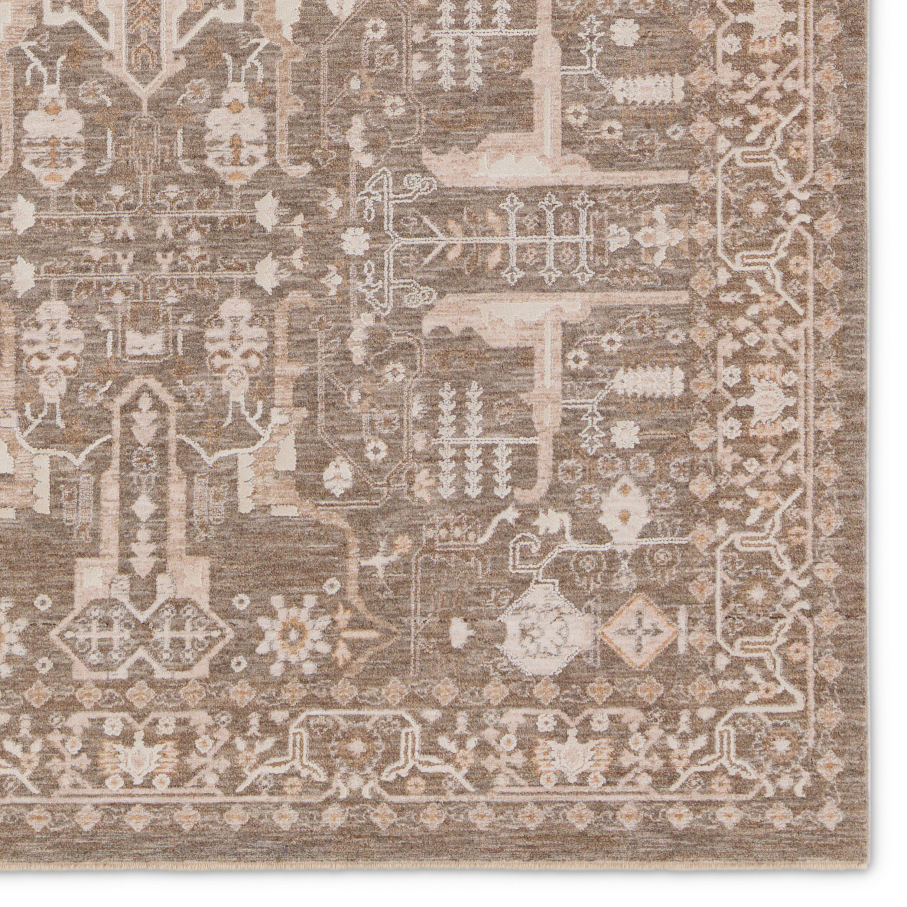 Jaipur Living BRG158441 rugs - View #5
