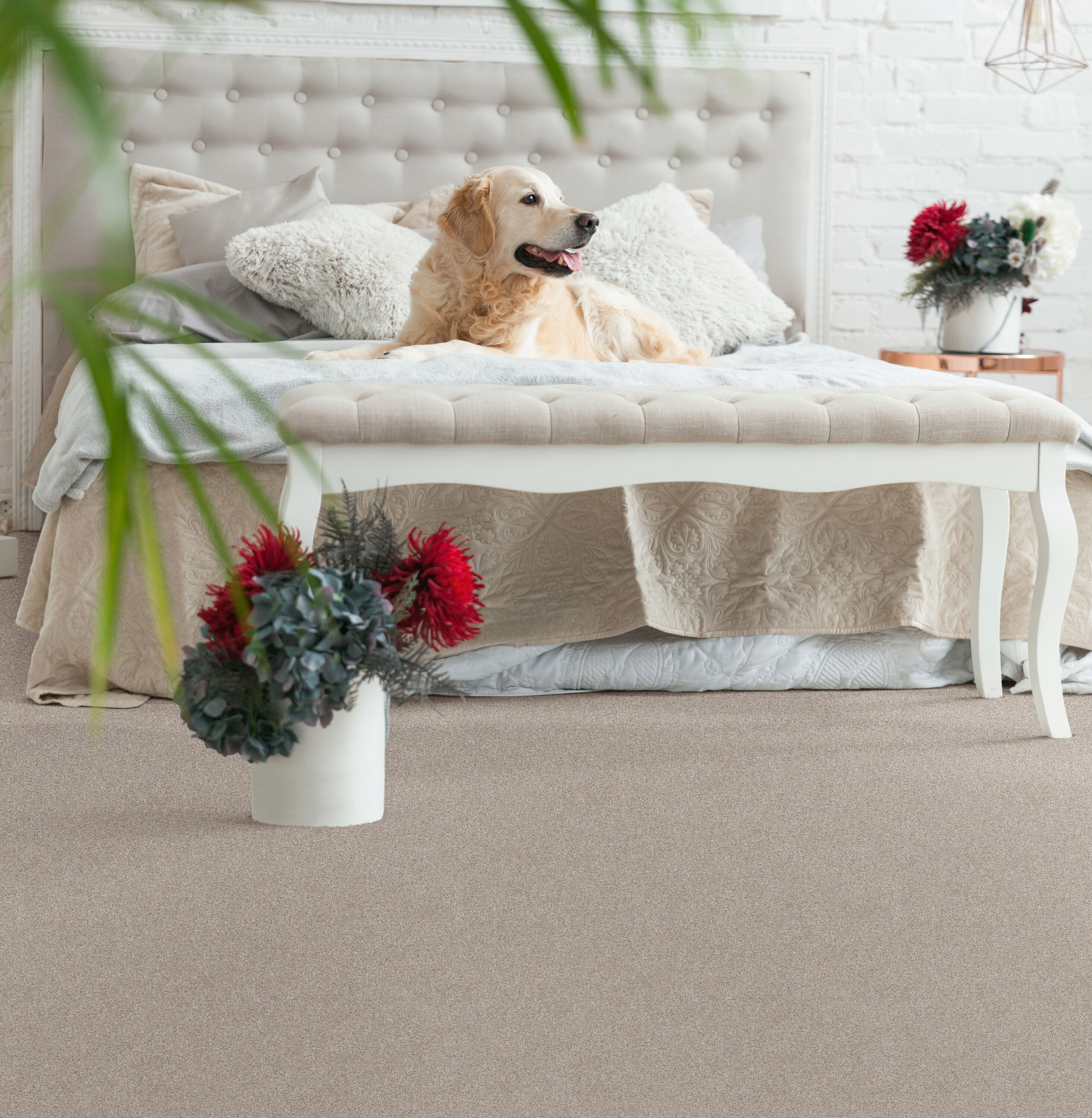 STAINMASTER PetProtect 7L907 - 108 - SAMP Carpet-Samples - View #4