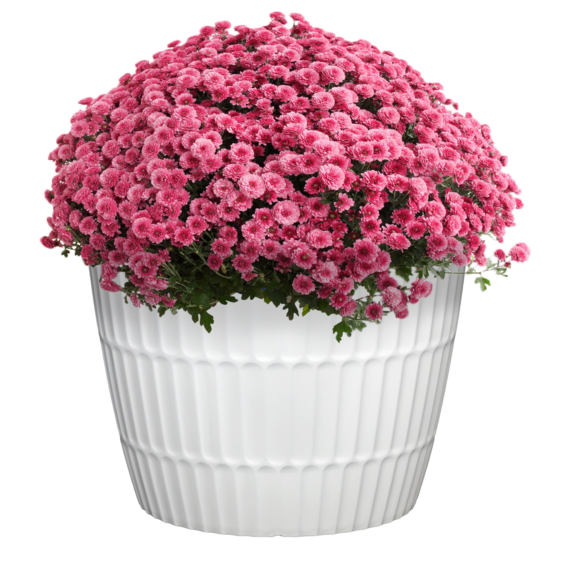 Style Selections PLG1714PWG Planter-Window-Box - View #3