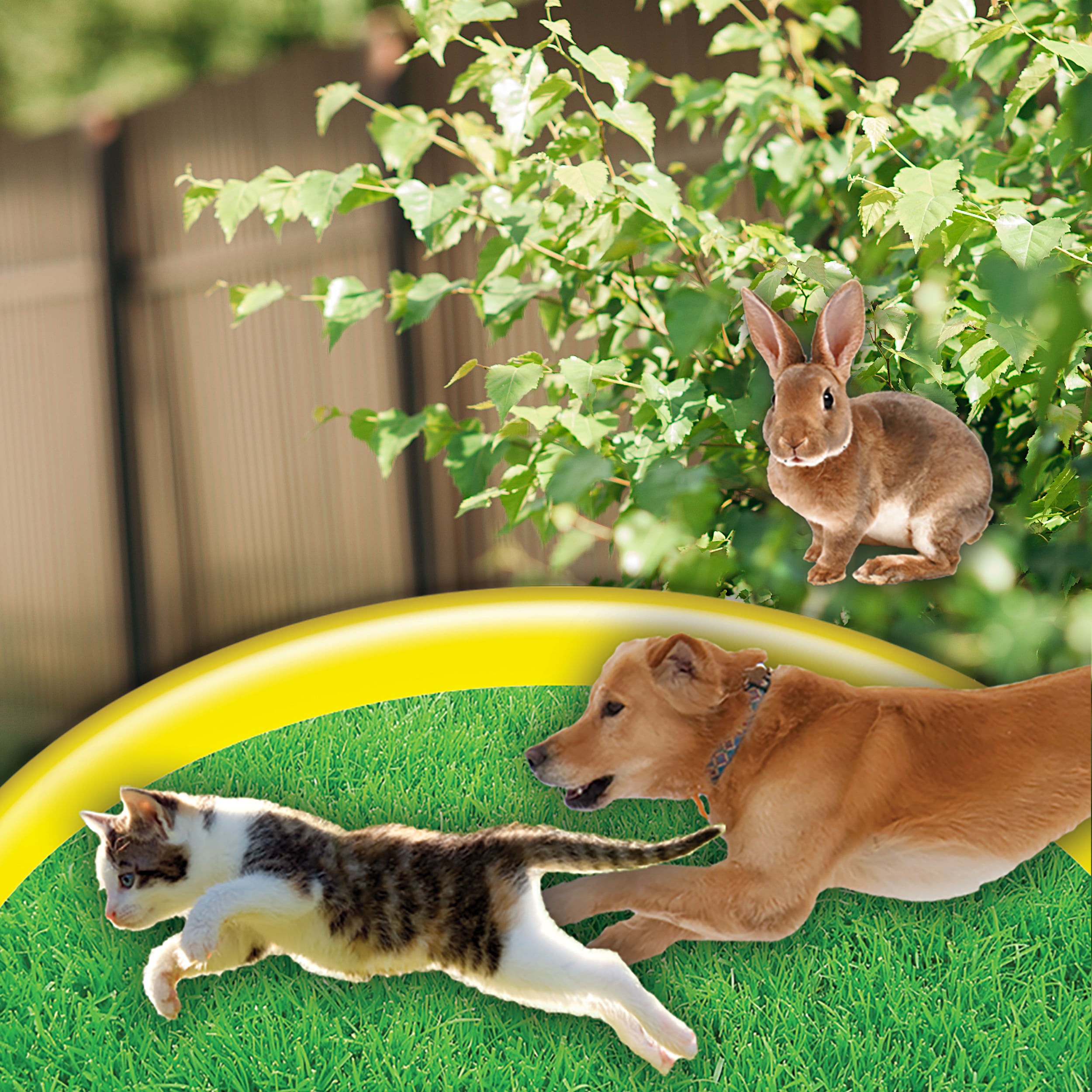 Dog safe outlet rabbit repellent