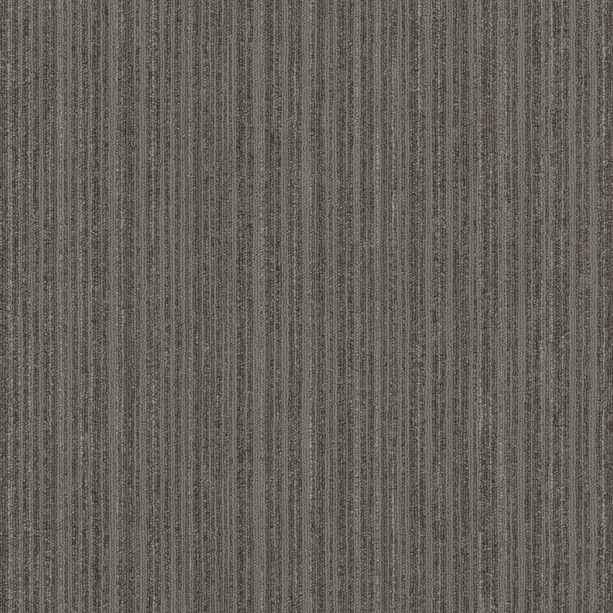 Shaw 7P0UT00505 Nordic 24-in x 24-in Insight Gray Commercial Adhesive Indoor Carpet Tile ( 80-Sq. Feet )
