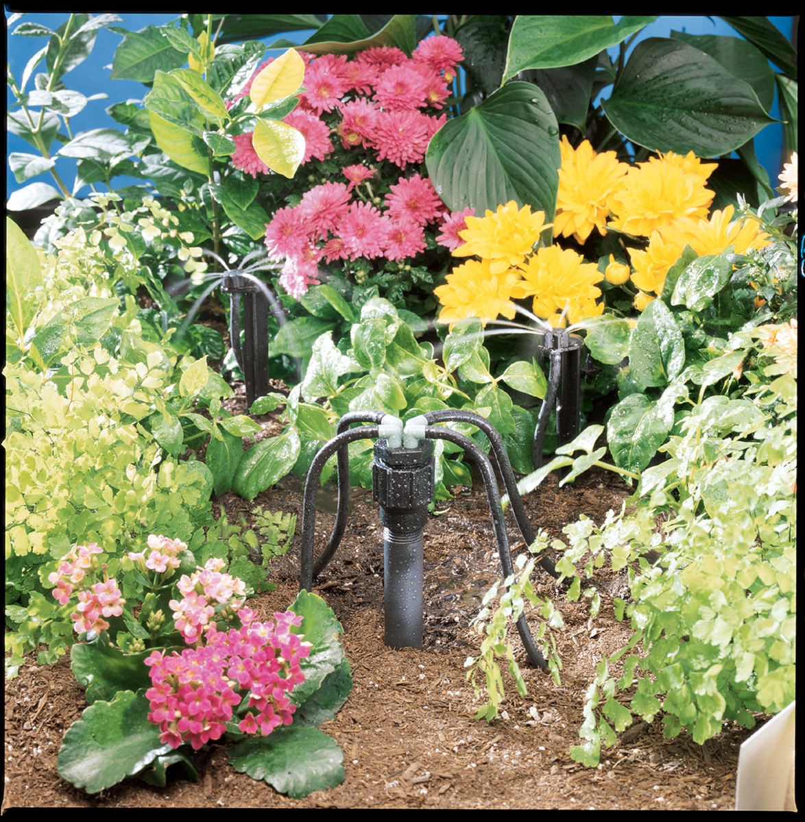 Orbit 67025 Drip-Irrigation-Manifolds - View #3