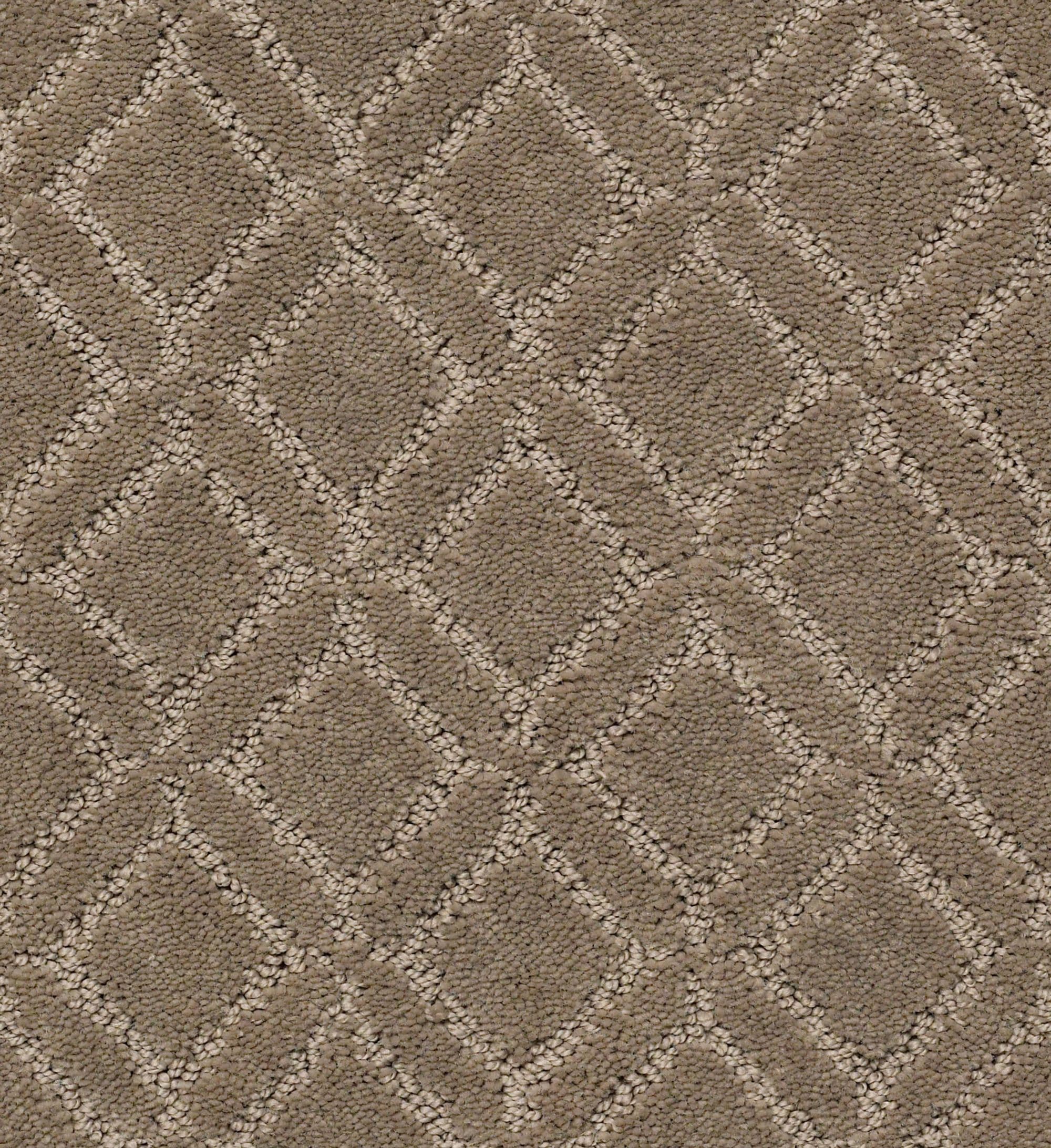 STAINMASTER PetProtect 7L90100515 Furrever Yours Rockport Gray 35.1-oz sq yard Nylon Pattern Indoor Carpet