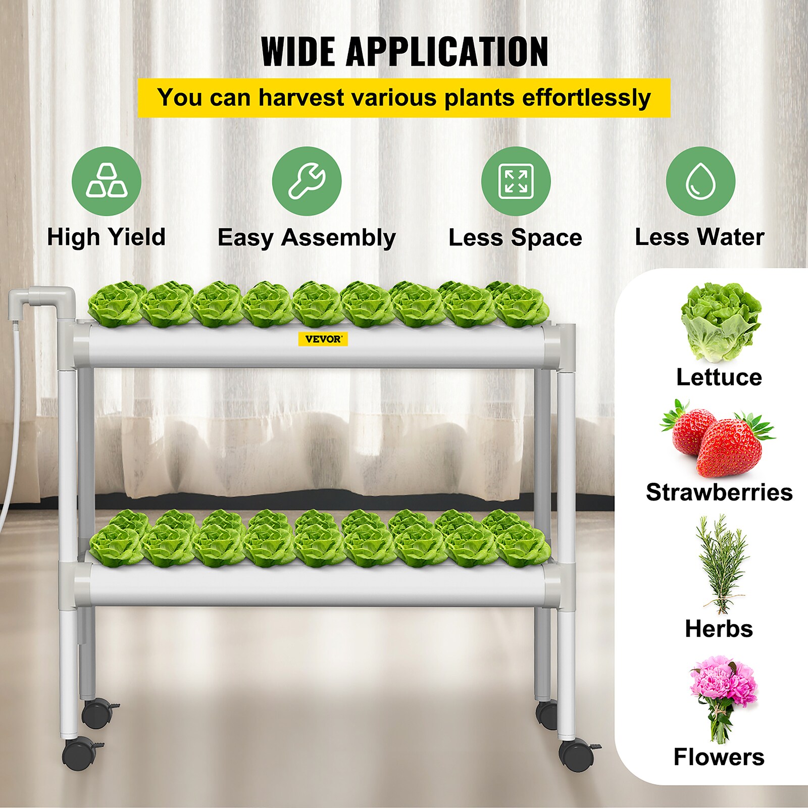 Big Shoot Measuring Glass – Lehigh Valley Hydroponics