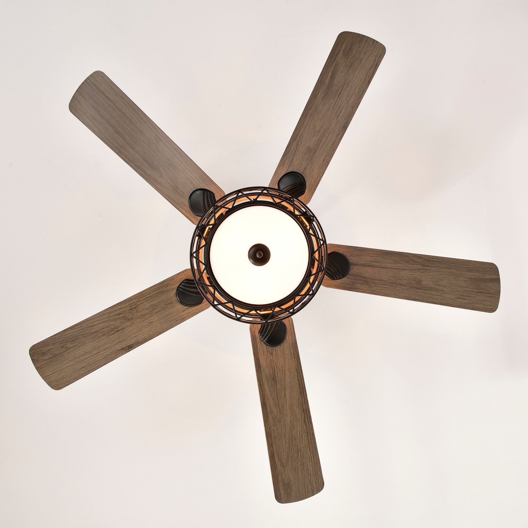 Fun Orange FUNS2CF05 Ceiling-Fans - View #9