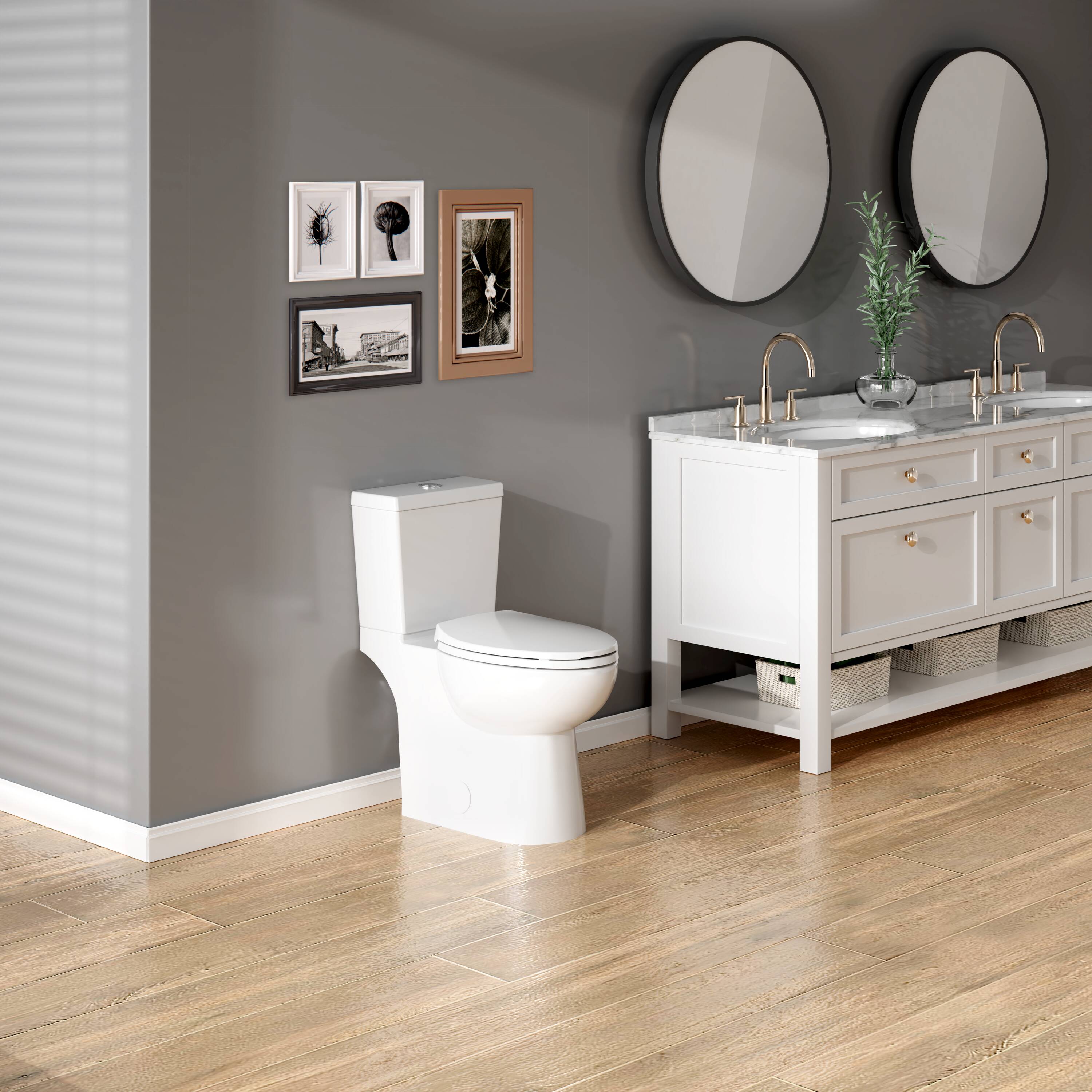 Project Source MT-20211D toilets - View #8