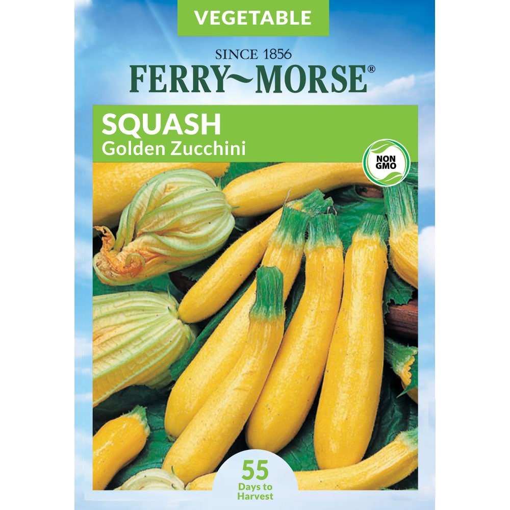Ferry morse organic squash zucchini golden organic vegetable seeds 3