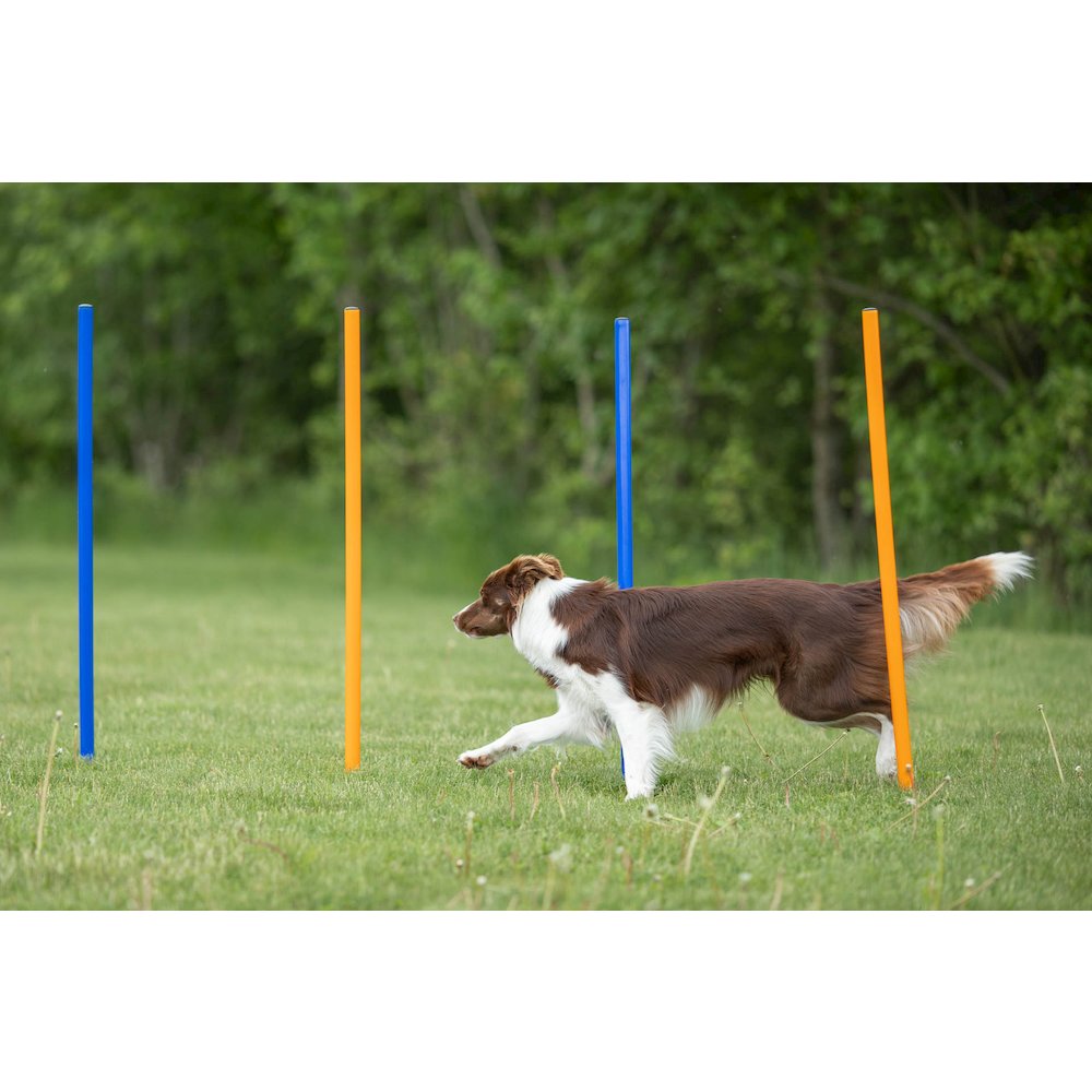 TRIXIE 3206 Dog-Toys - View #7
