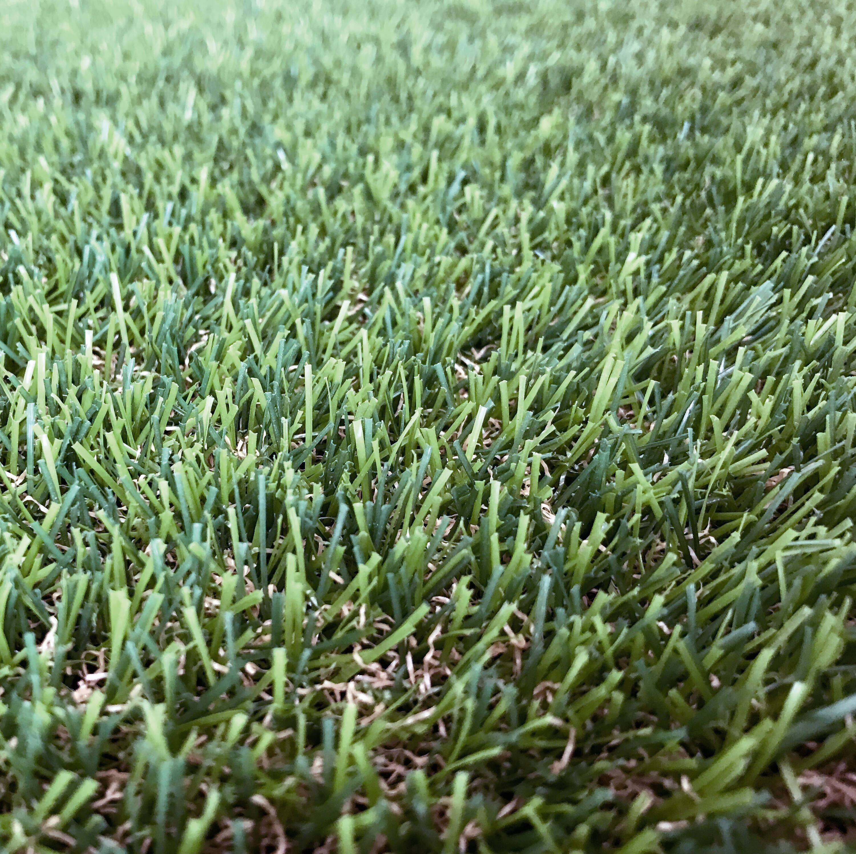 Sta-Green PS-SS7 Grass-Seed - View #12