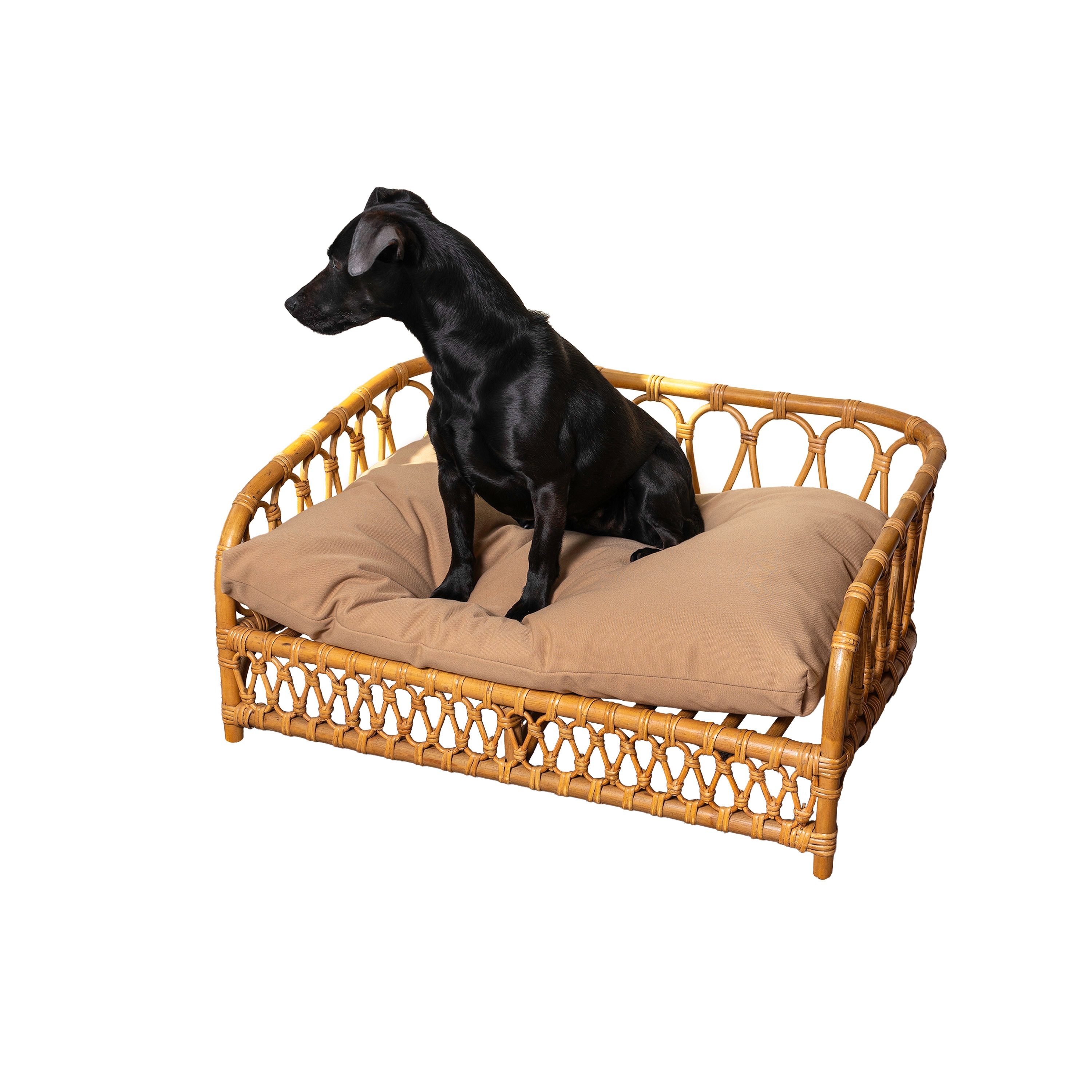 The Licker Store DBD1005A Rectangular Natural Polyester Sofa Dog/Cat Bed ( Medium )