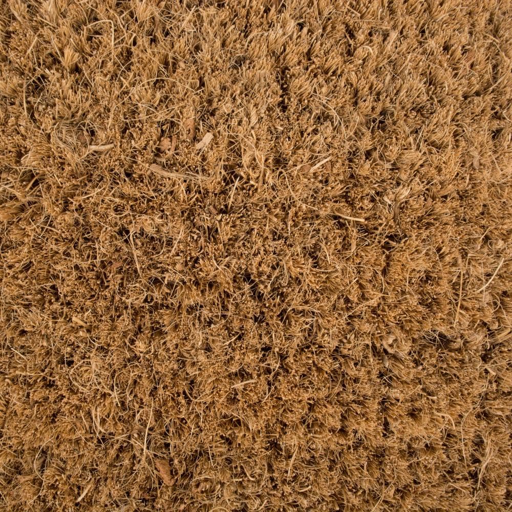 DII CAMZ11553 Mats-Cat - View #2