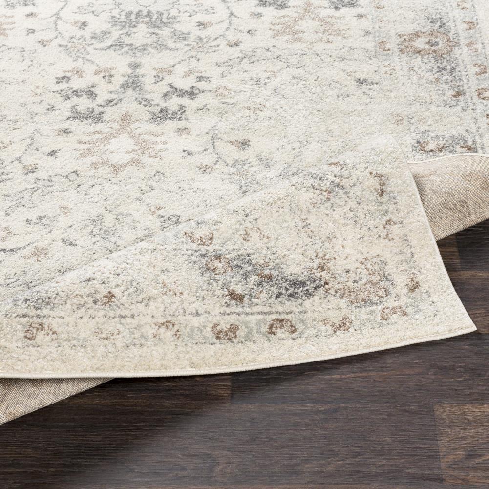 Surya CSA2321-710103 rugs - View #4