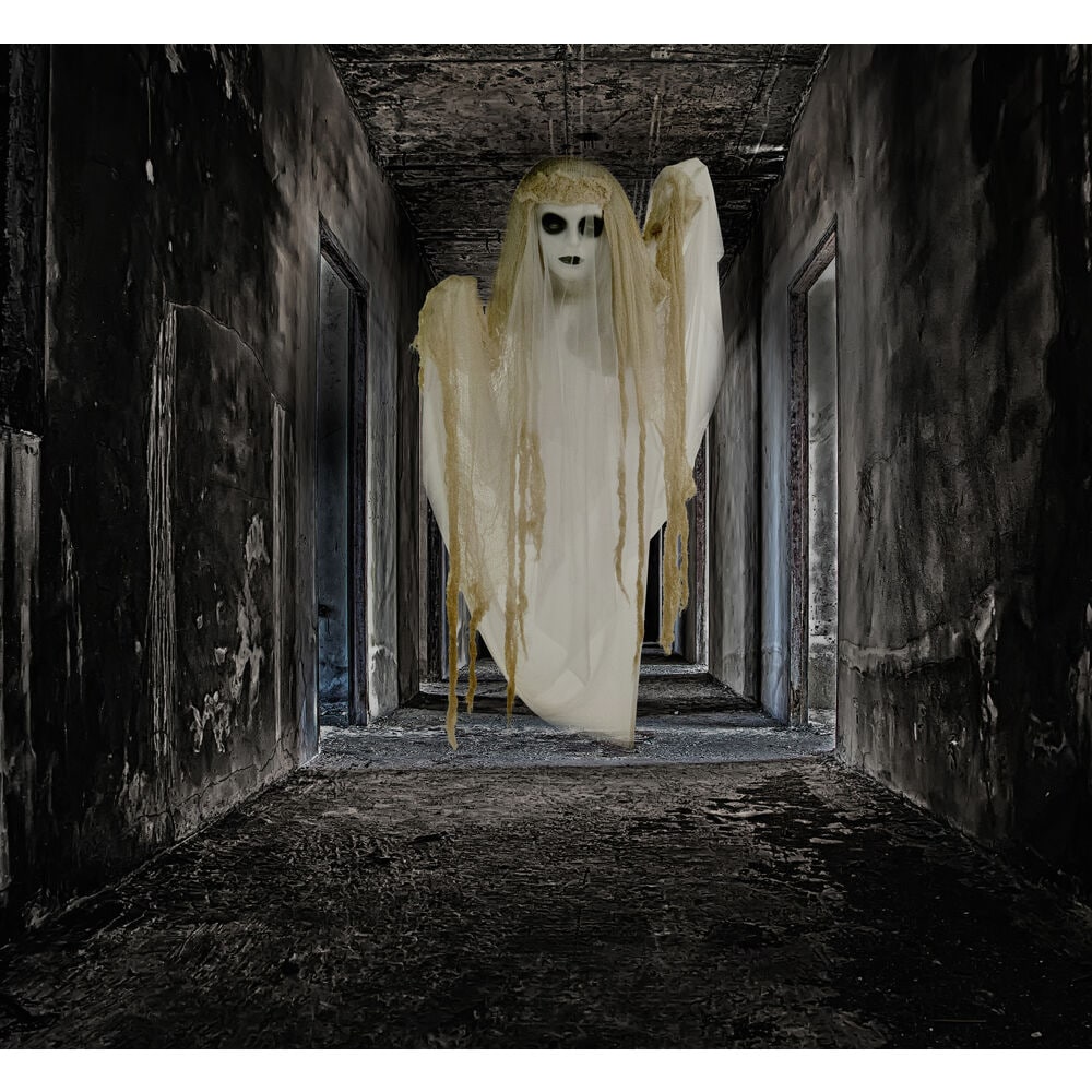 Haunted Hill Farm HHGHST-2HLA Halloween-Animatronics - View #9
