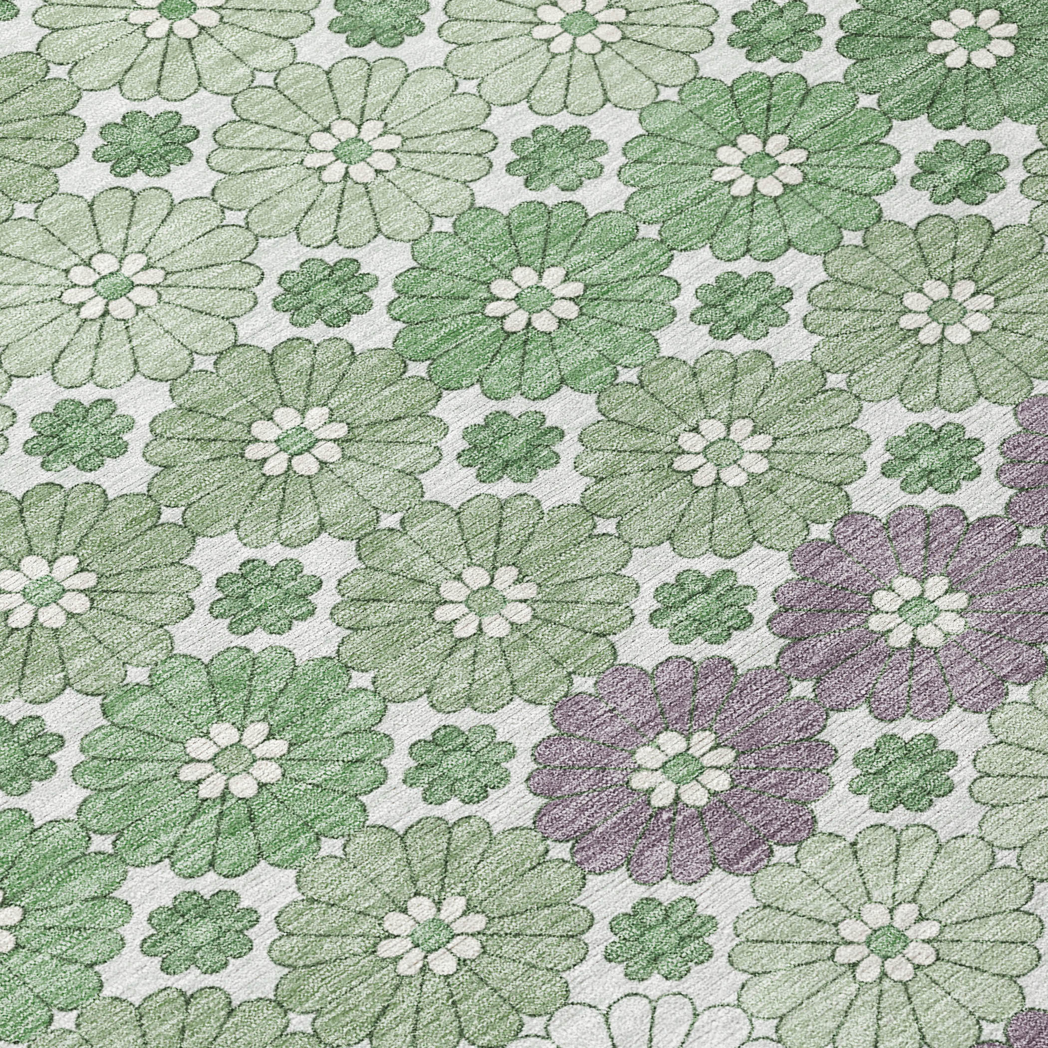 Addison Rugs ACN1678SA9X12 rugs - View #5