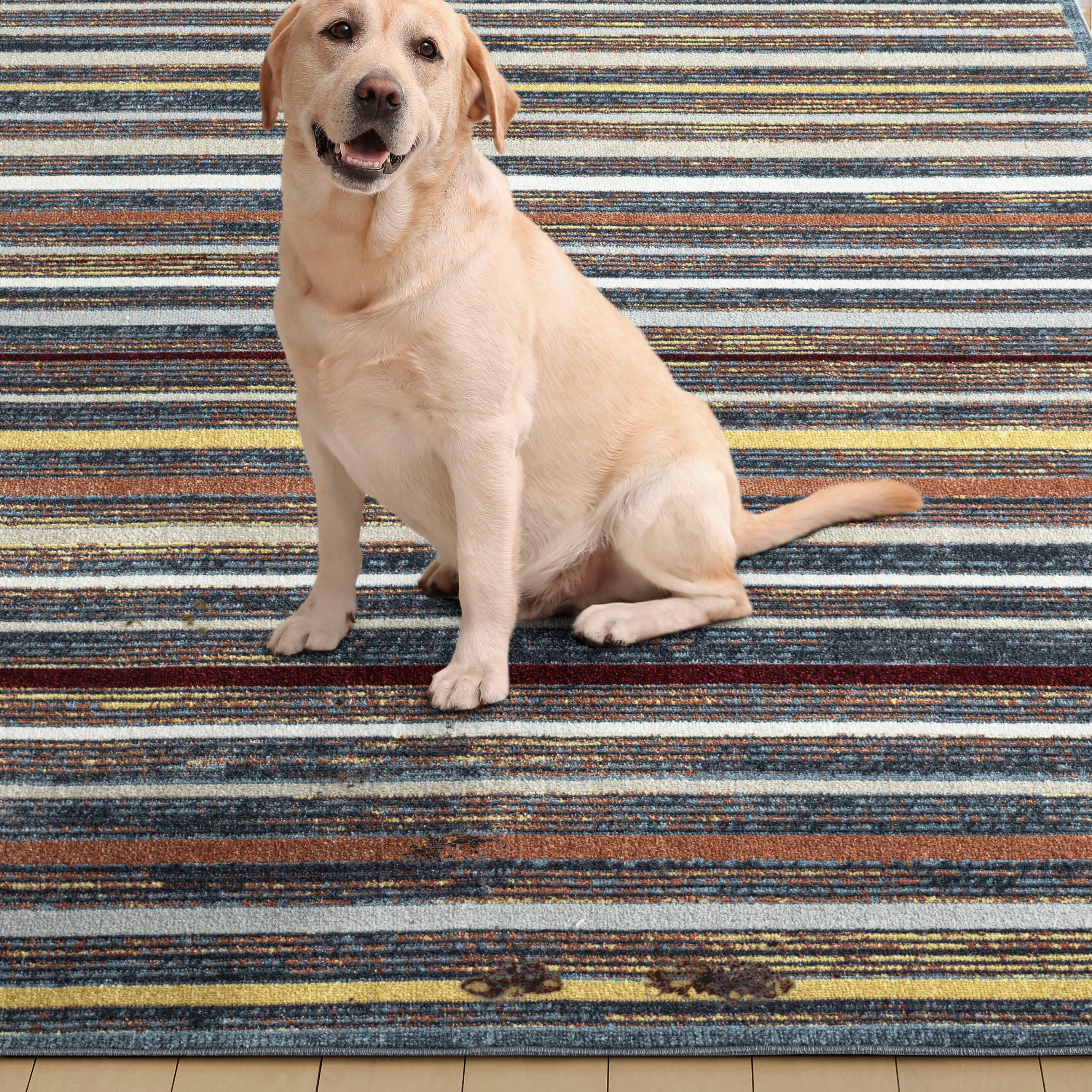 Everwash 2A-03-999 rugs - View #3