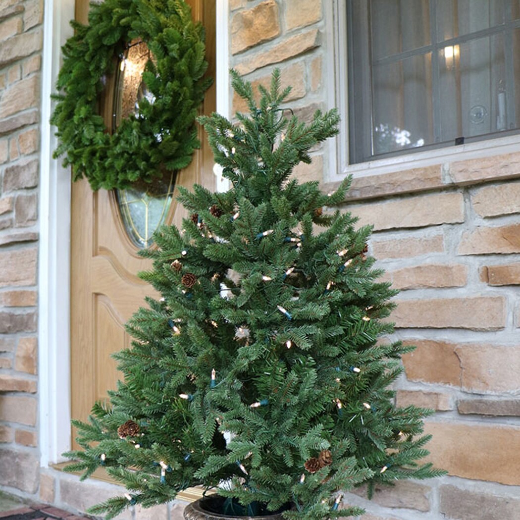 Noble Fir 4' Potted Christmas Tree with LED Lights