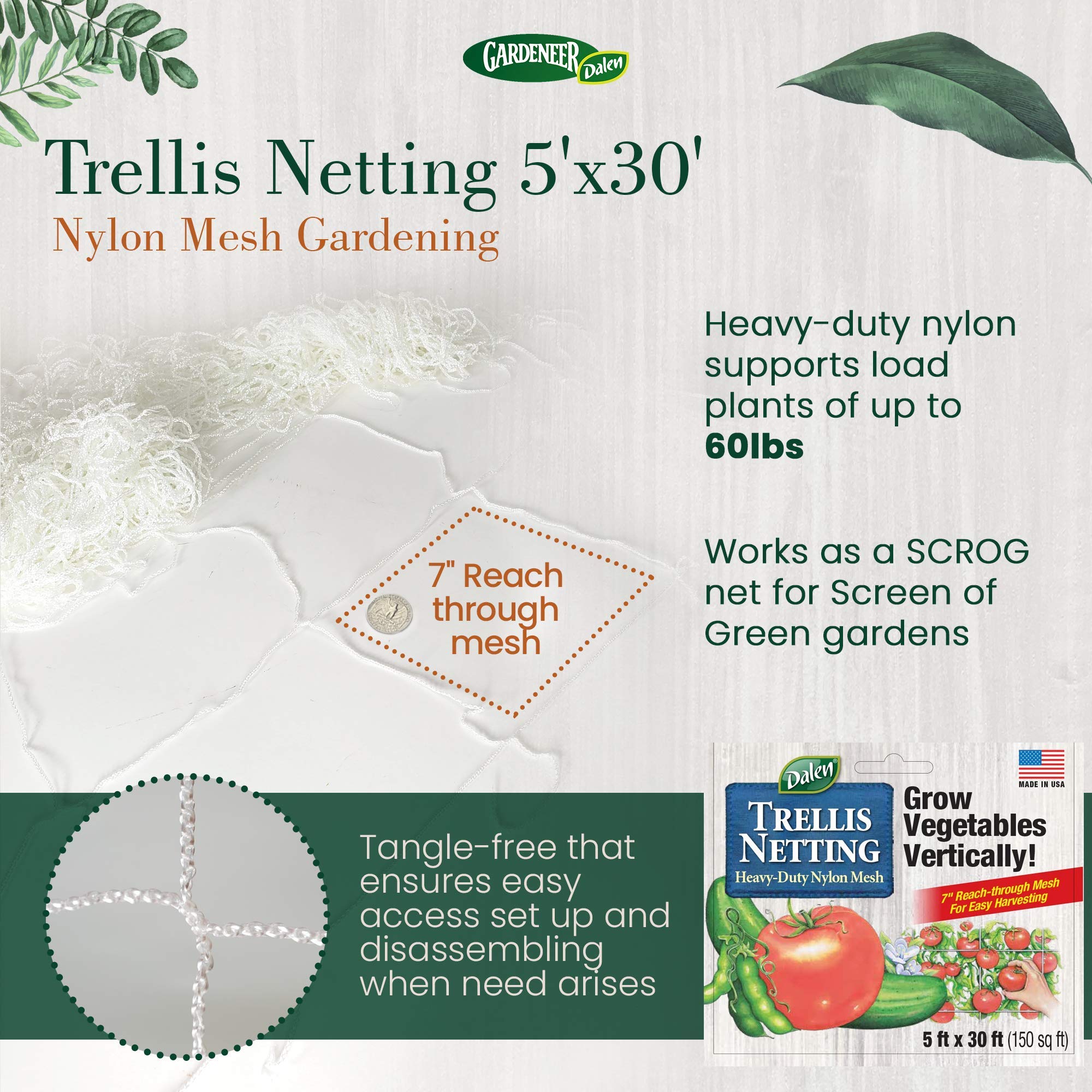 Dalen TP-30C Garden-Trellis - View #4