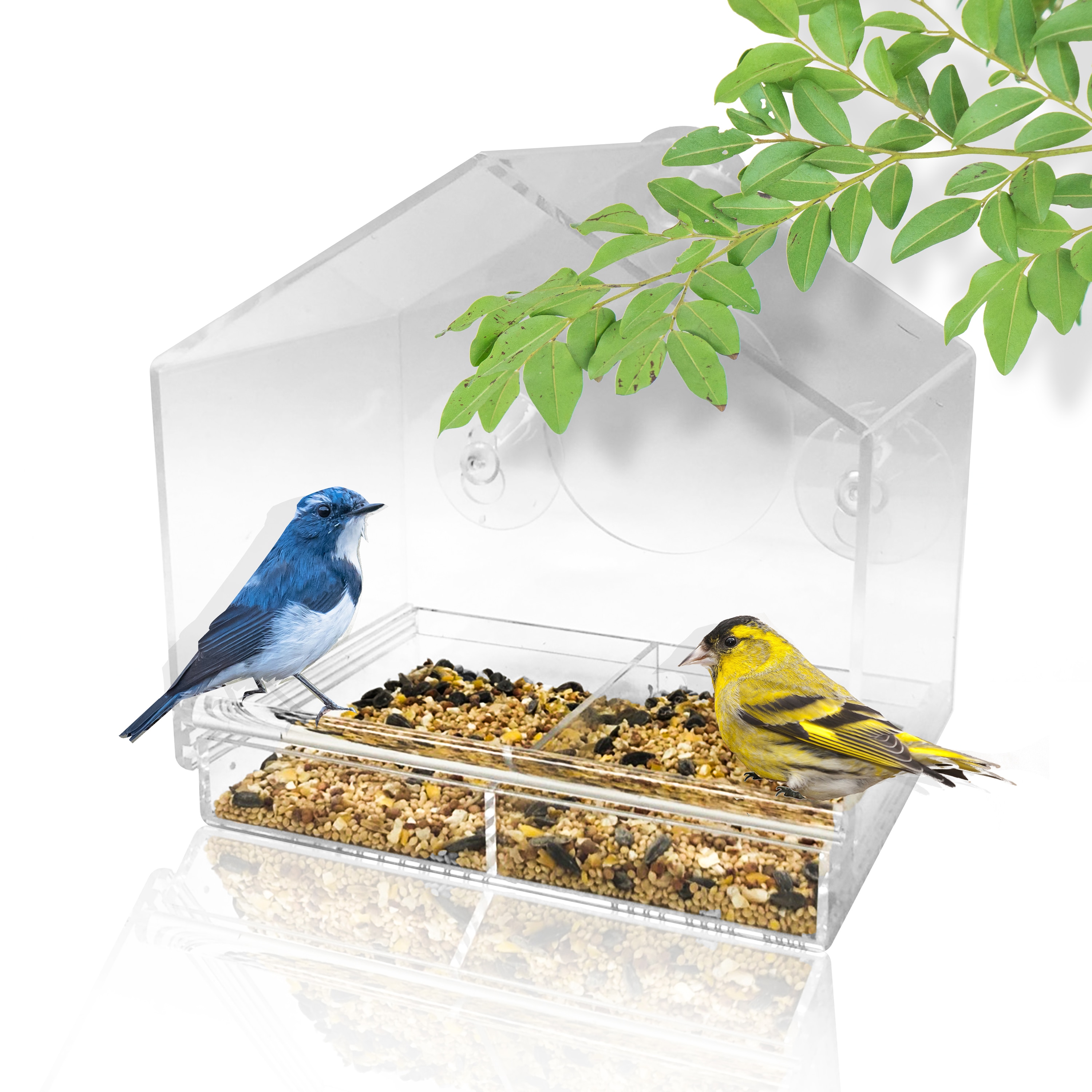WLLKOO Window Bird Feeder, Bird House for Outside with 2 Rod, Small Acrylic  Window Bird Feeder with Strong Suction Cups and Drain Holes 5.9 * 2.4 *