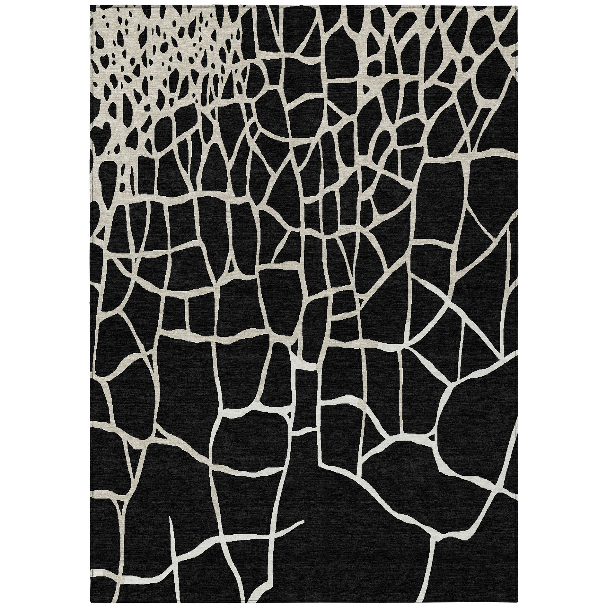 Addison Rugs ACN1049BK5X8 rugs - View #2