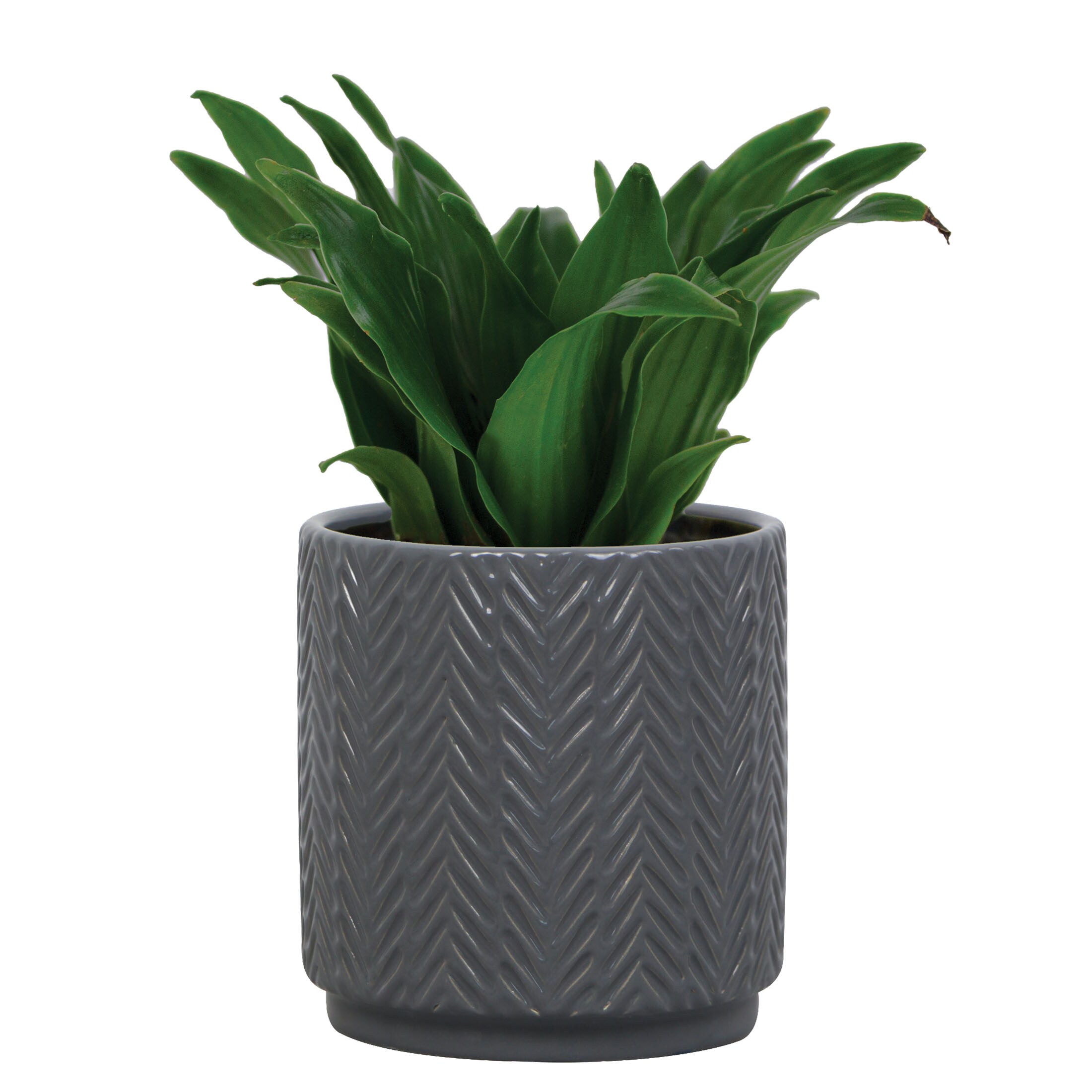 allen + roth CR01894N-05H Planter-Window-Box - View #3